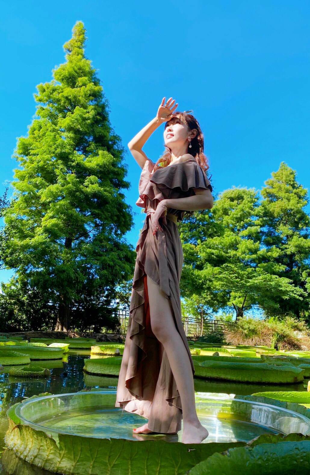 蓮荷園休閒農場 台灣休閒農業發展協會