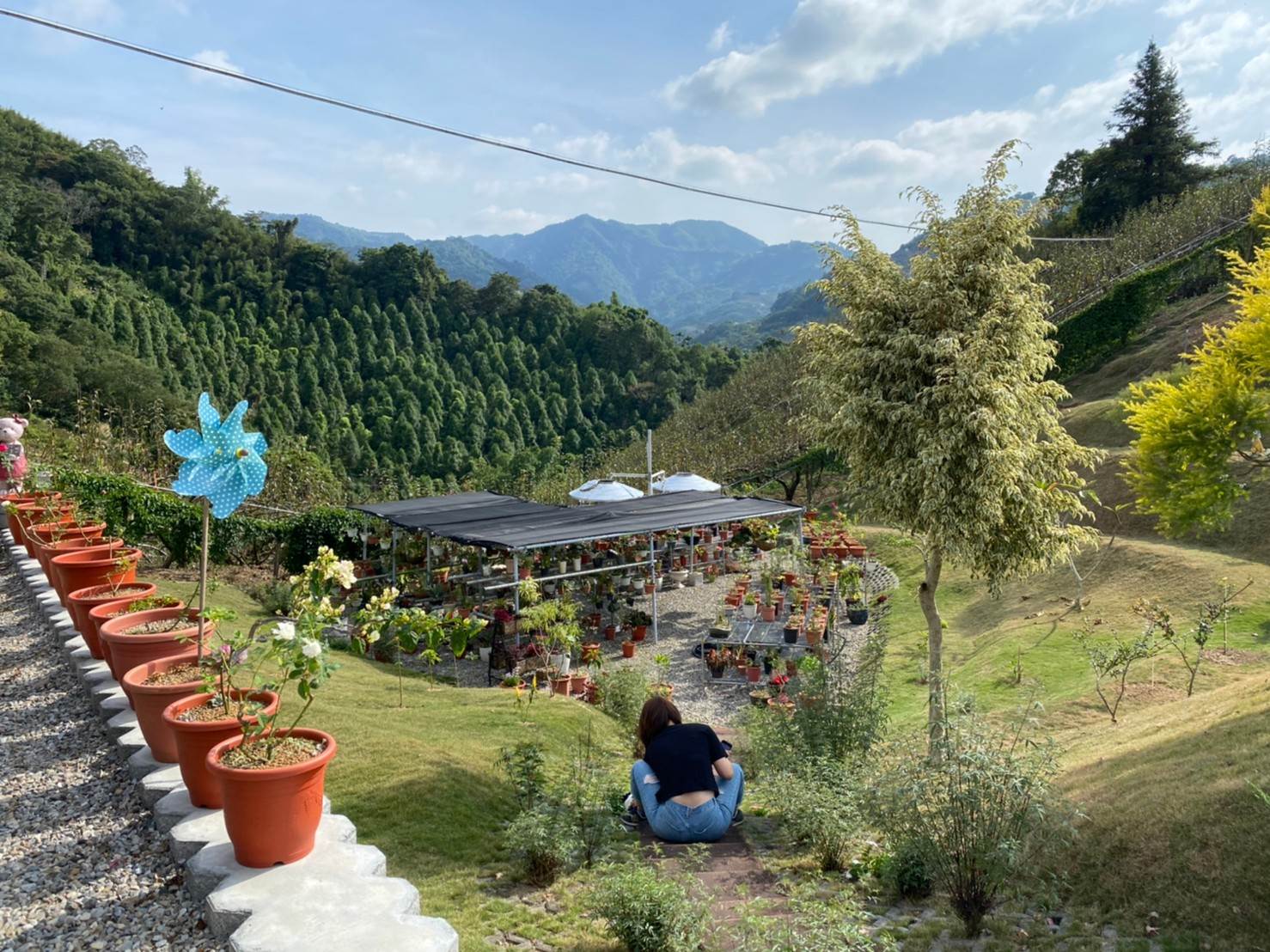 小小喵的天空 采恩農園 台灣休閒農業發展協會