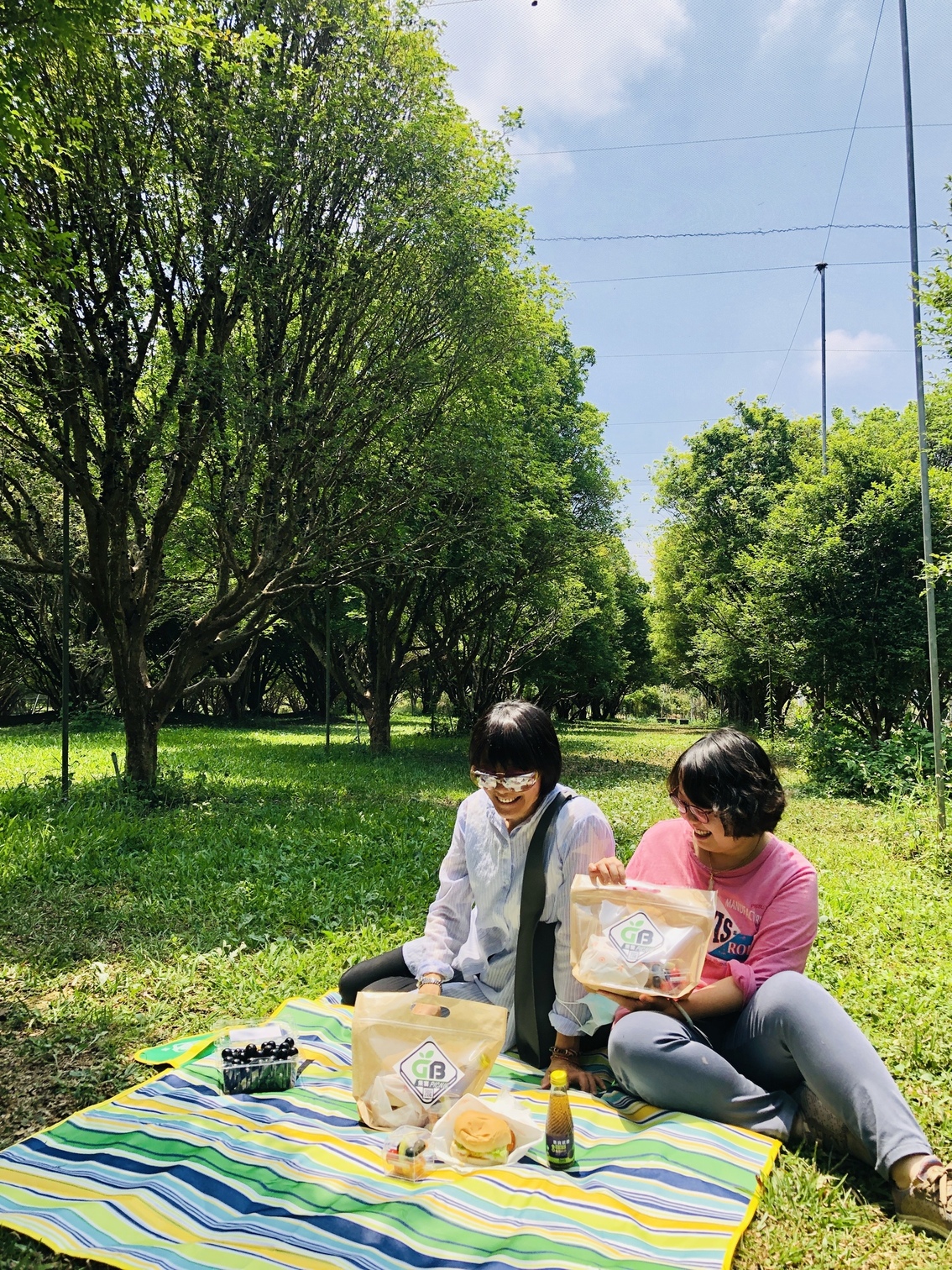摘果野餐，度過愜意午後。