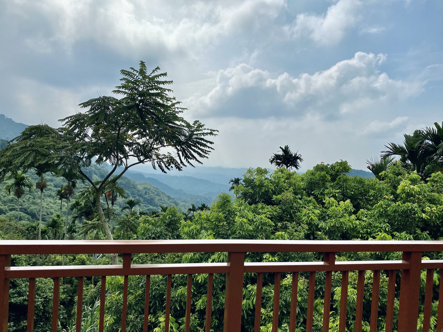 觀景台遙望美麗山巒，心曠神怡。