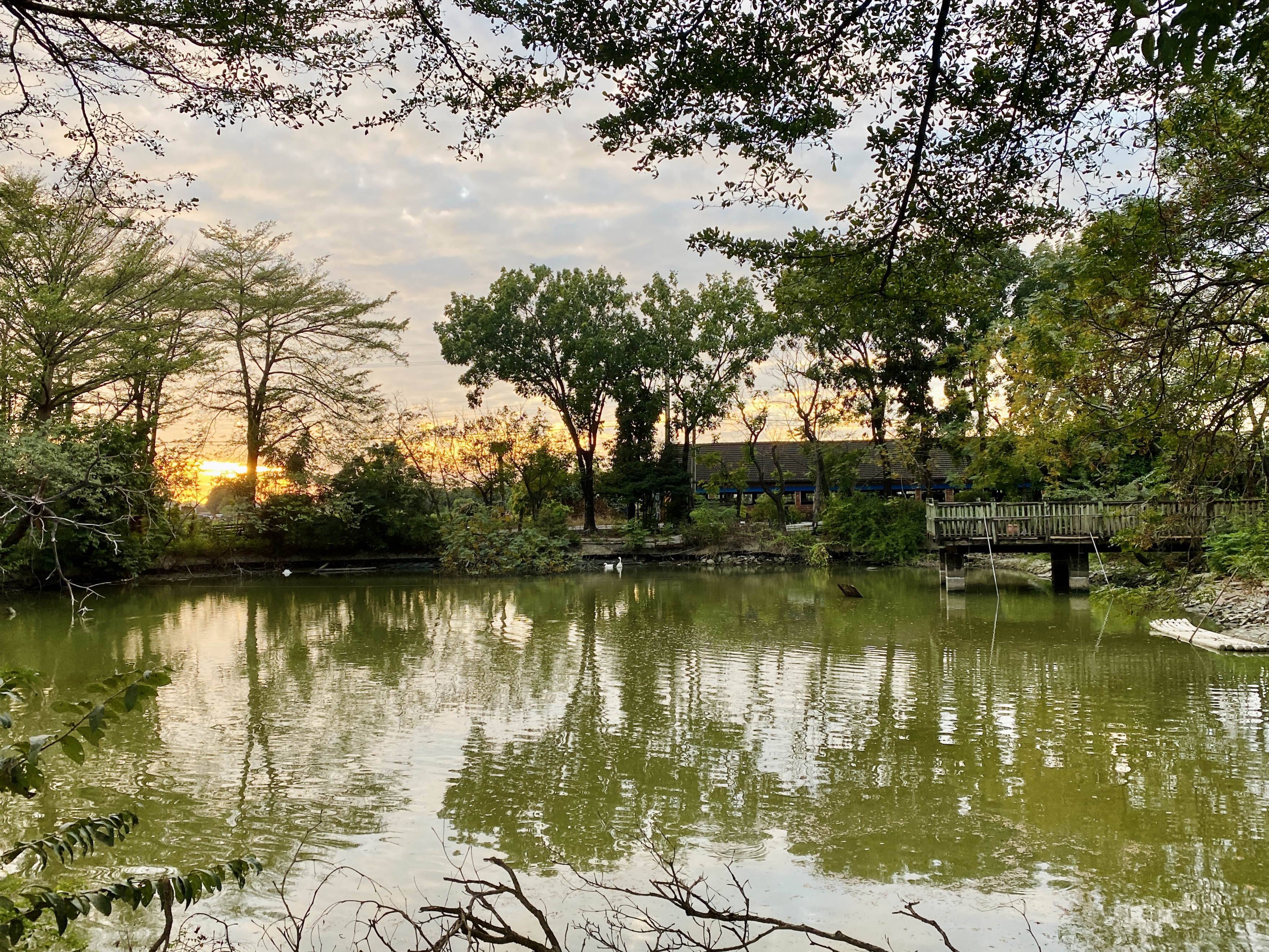 環境清幽，景色如畫。