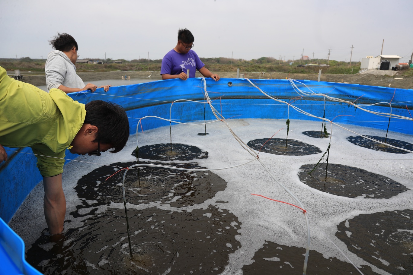 長盈海味屋、旭海安溯水產不只自己養魚，也帶領許多水產相關科系年輕學子一起，用專業養魚