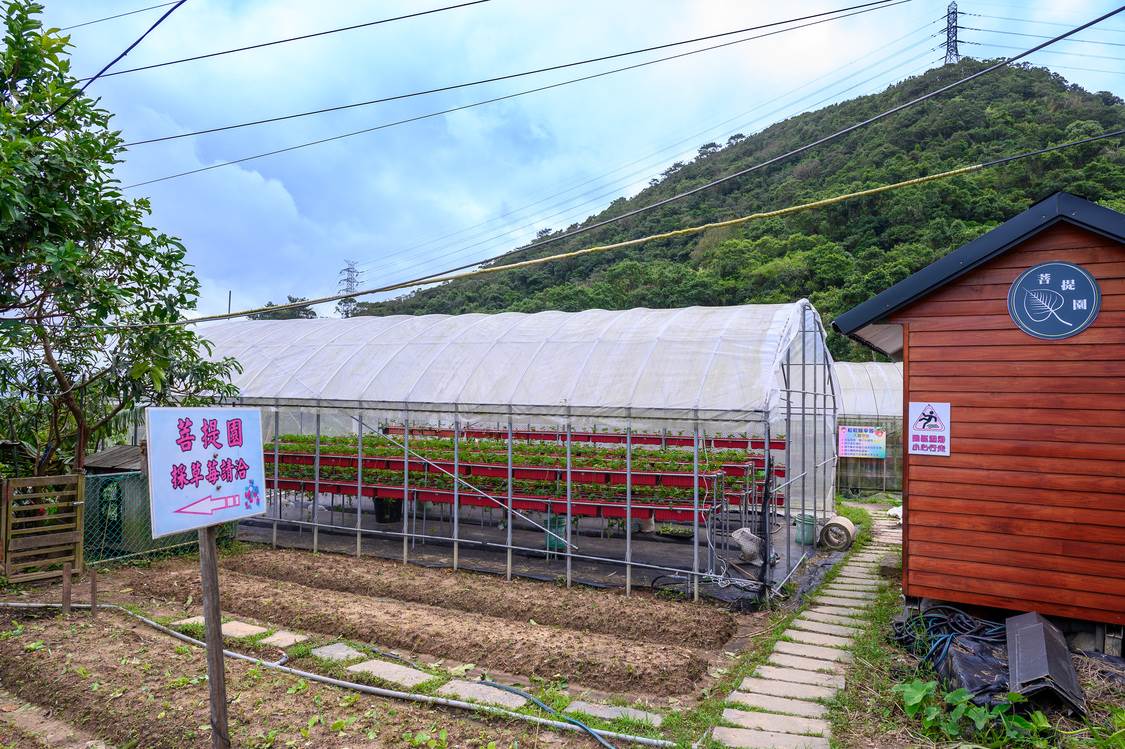 「菩提園有機農場」位在台北市第一個休閒農業區「白石湖休閒農業區」內。