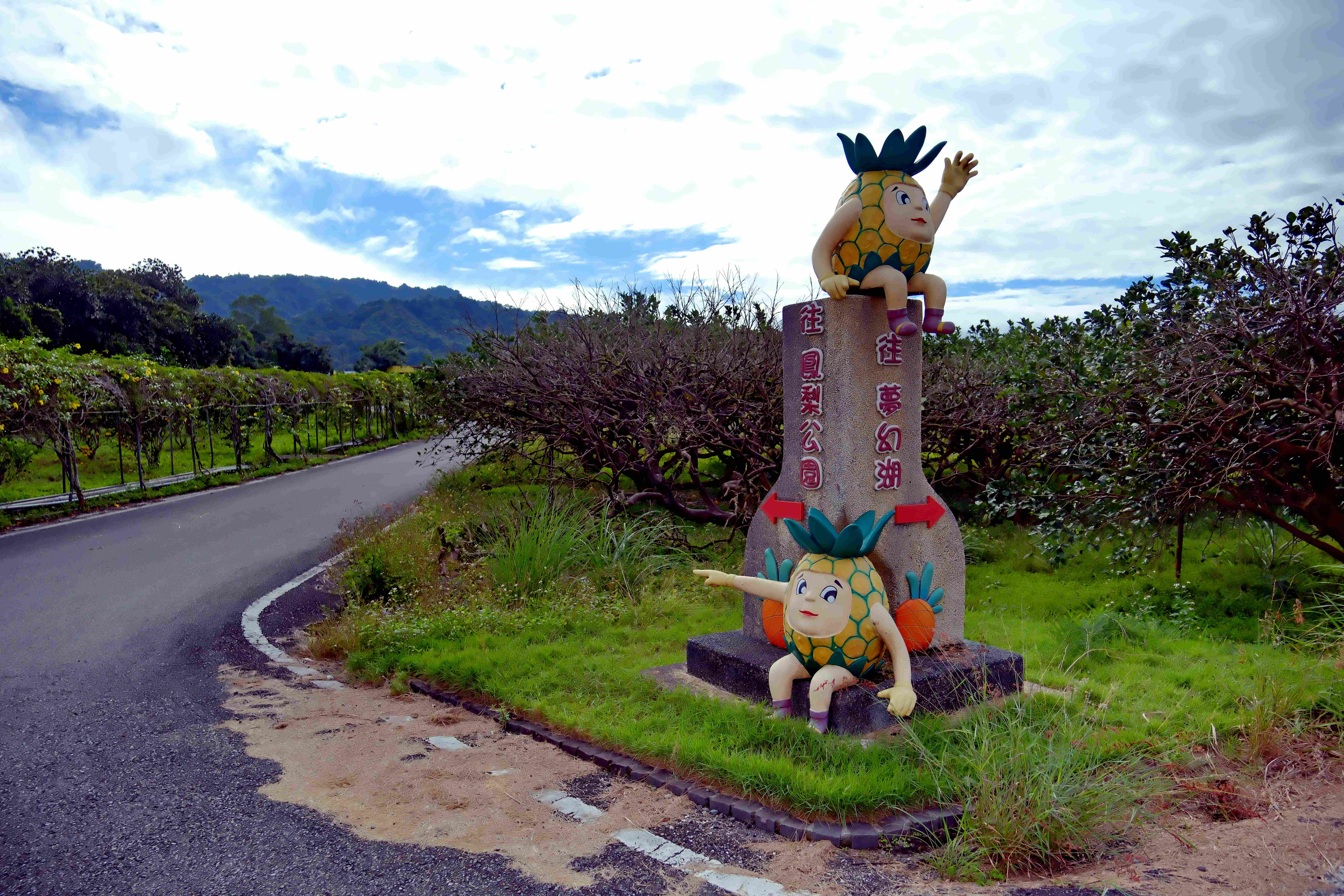 「富興休閒農場」入口處景觀鳳梨偶塑像，搭襯藍天白雲是縱谷景色的日常。