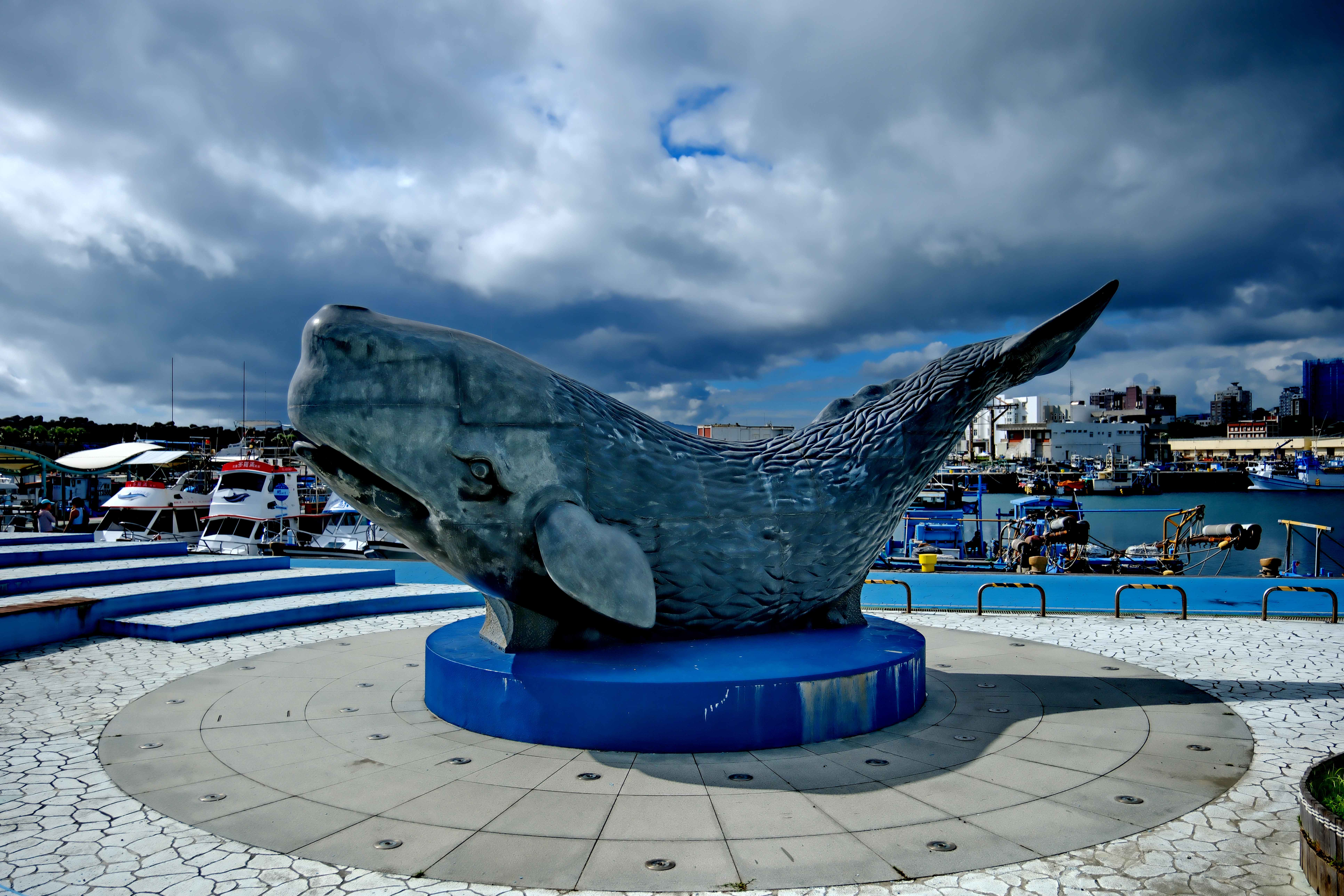 「鯨世界」賞鯨報到處，位於花蓮港向日廣場彩色屋，前有大大的鯨魚石像地標。