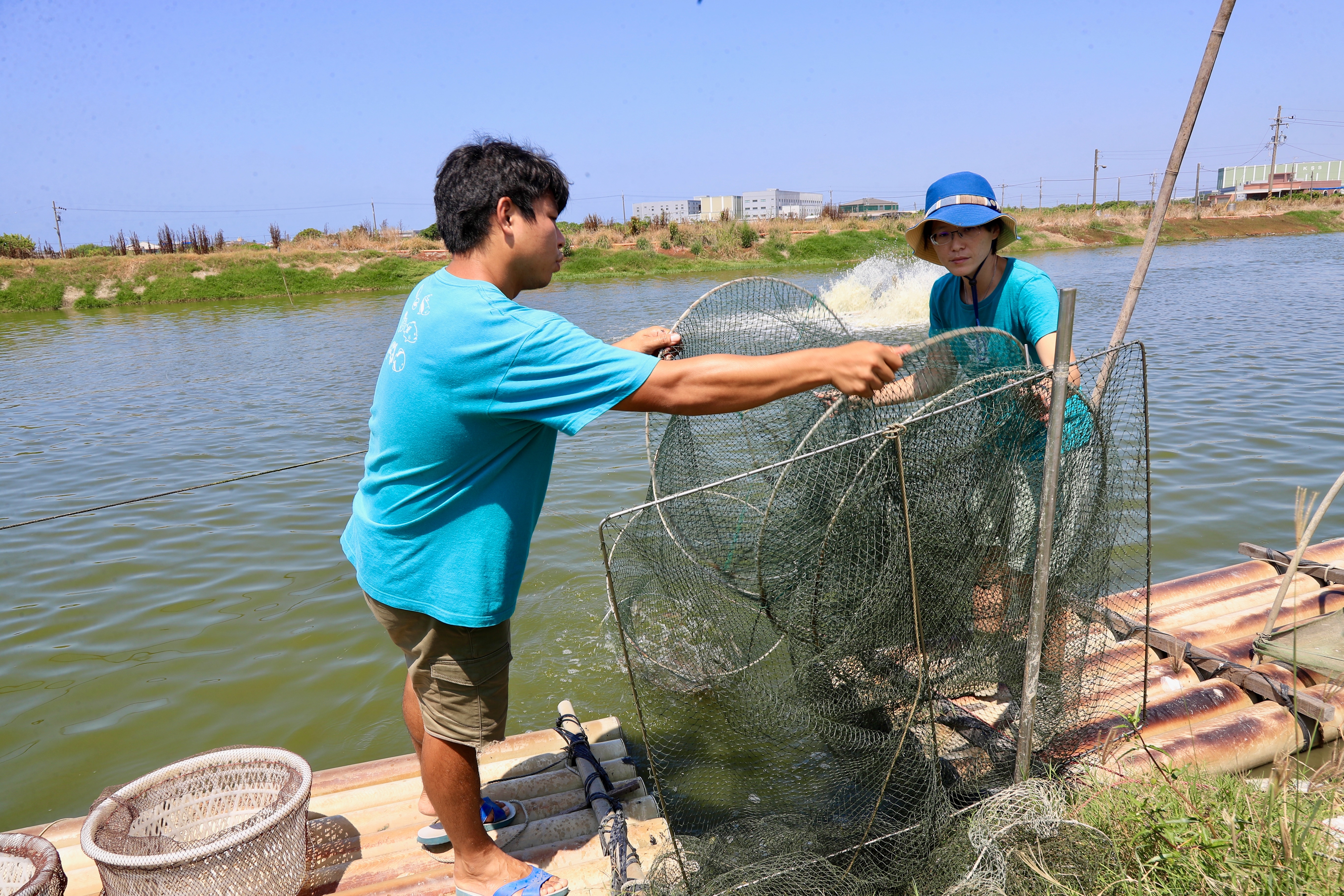 股份魚鄉「蝦咪代誌？」體驗活動會帶領遊客自己撈白蝦，並解說養殖漁業等細節。