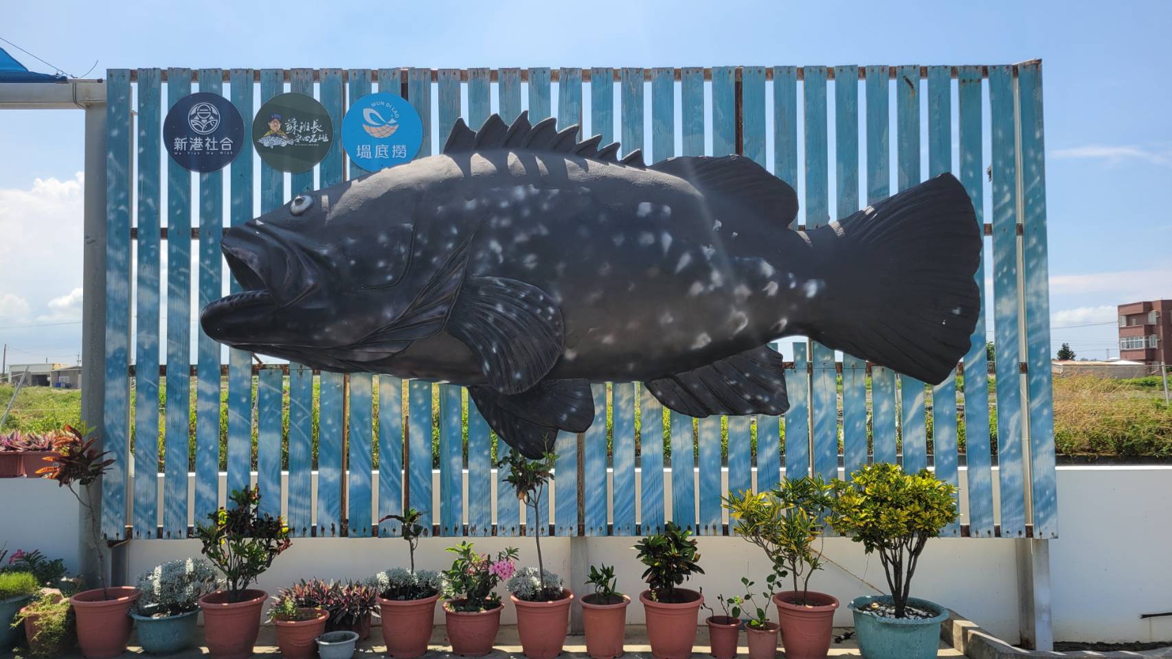 蘇班長安心漁場入口意象-石斑魚雕塑