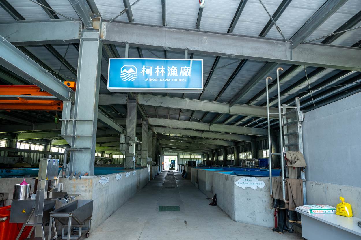 柯林漁廠是宜蘭縣第一個室內循環太陽能水廠。