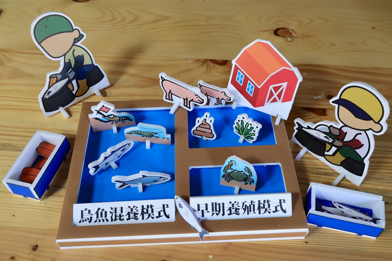 股份魚鄉設計多樣小模型帶領小朋友認識魚類與養殖漁業