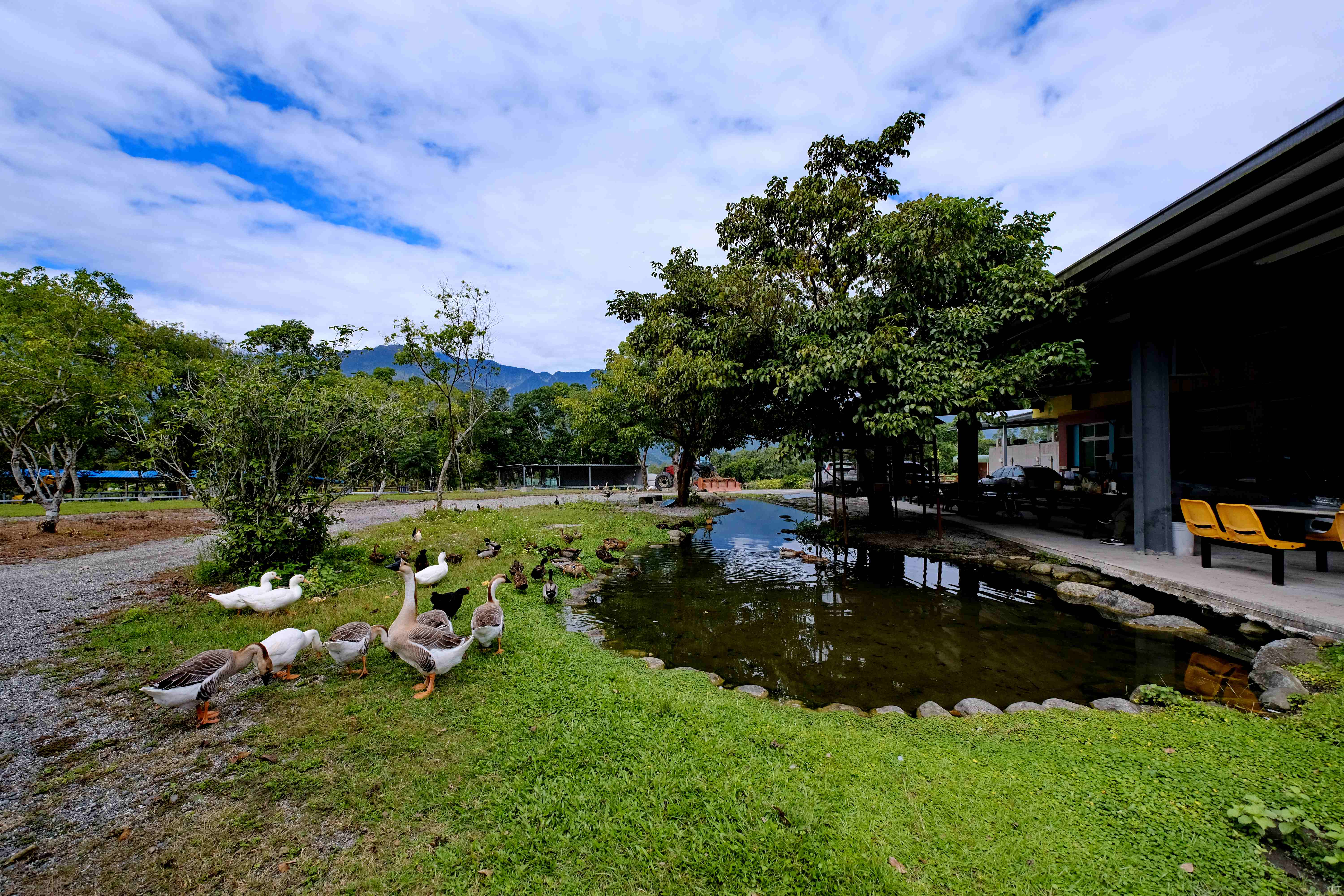 讓農業回歸農業，與自然共生的可愛動物區。