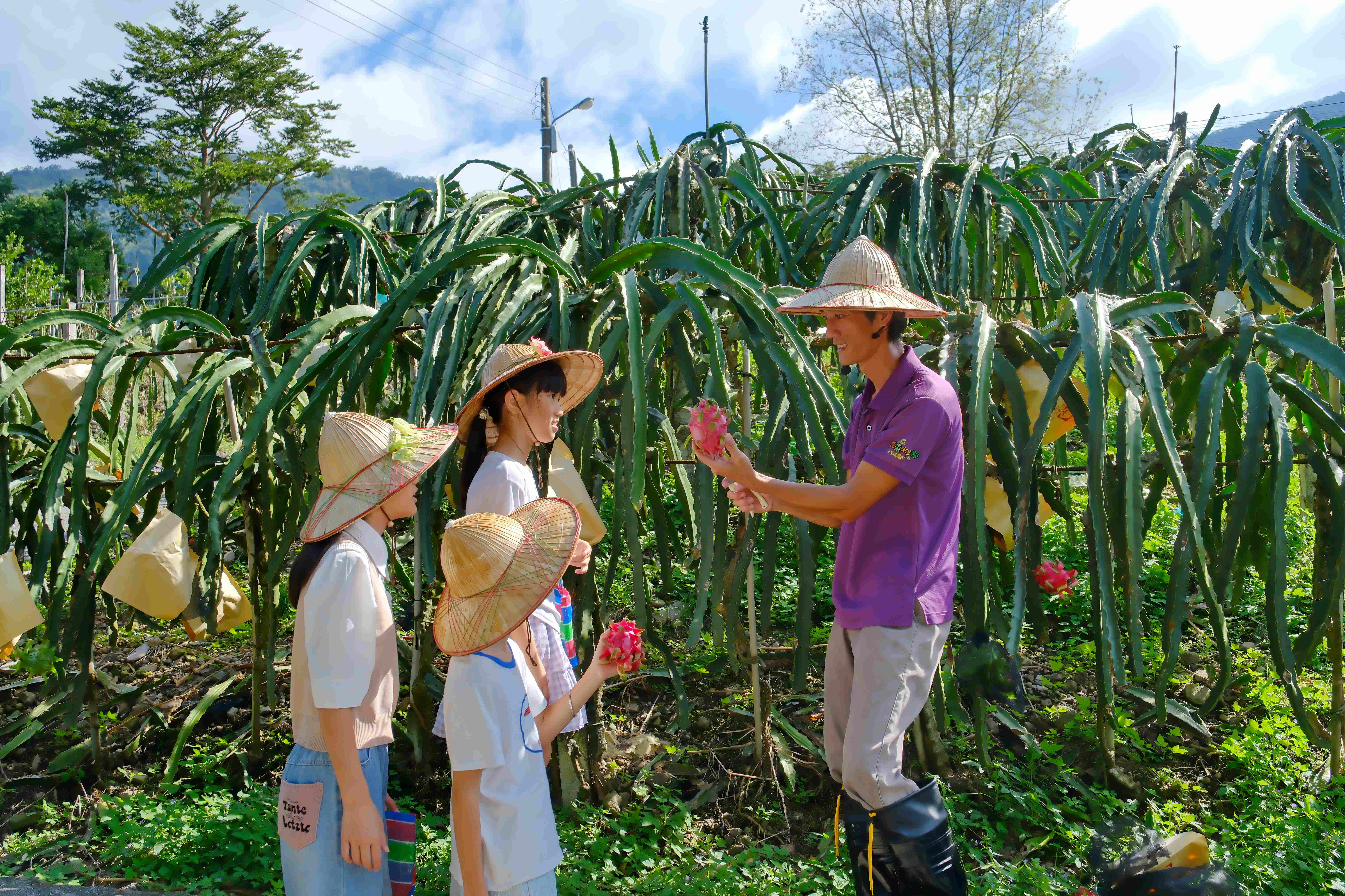 走進火龍果園區，隨著園主的解說，深入了解火龍果的栽種特色與選果技巧。