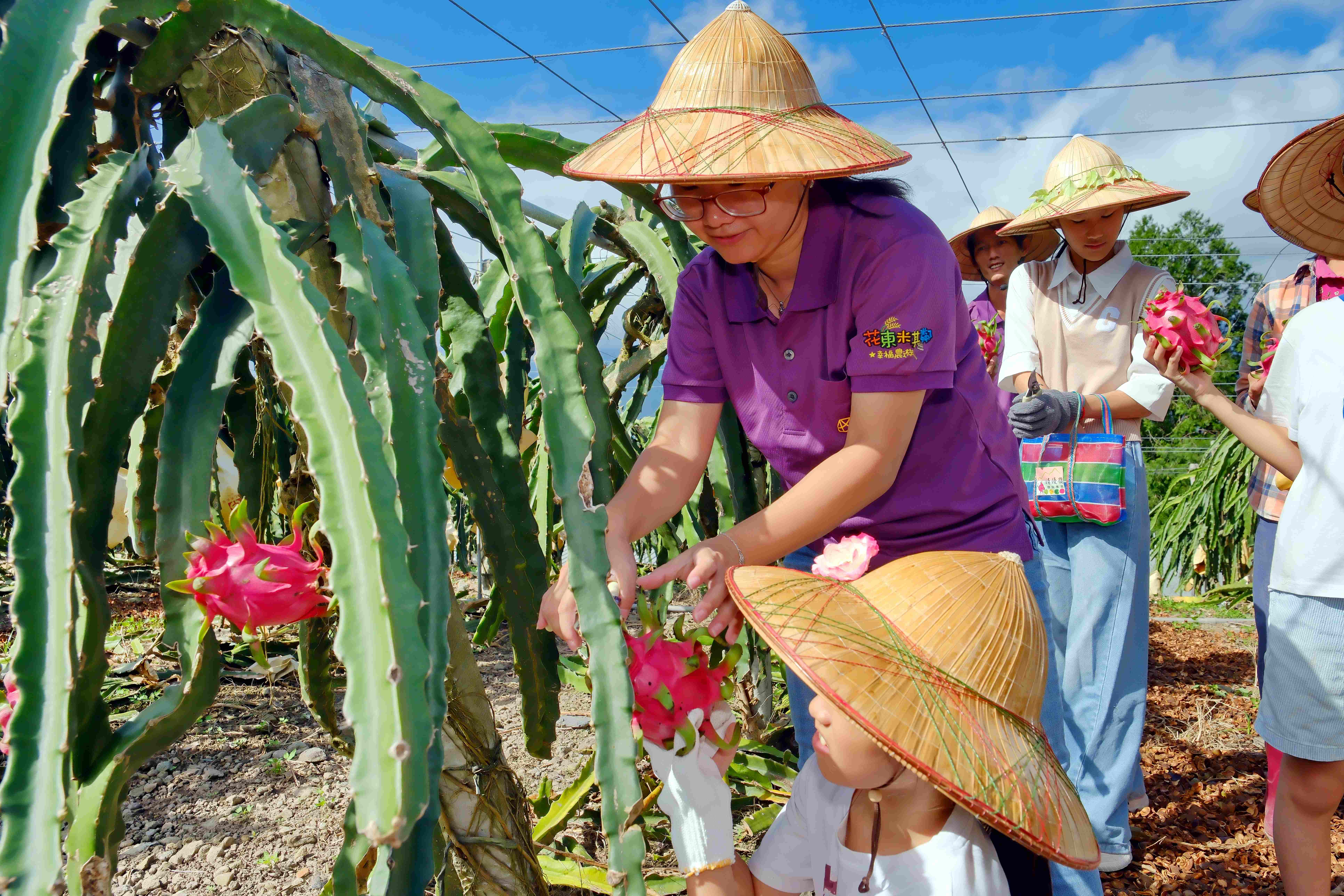 採果體驗，是最佳的親子遊程。