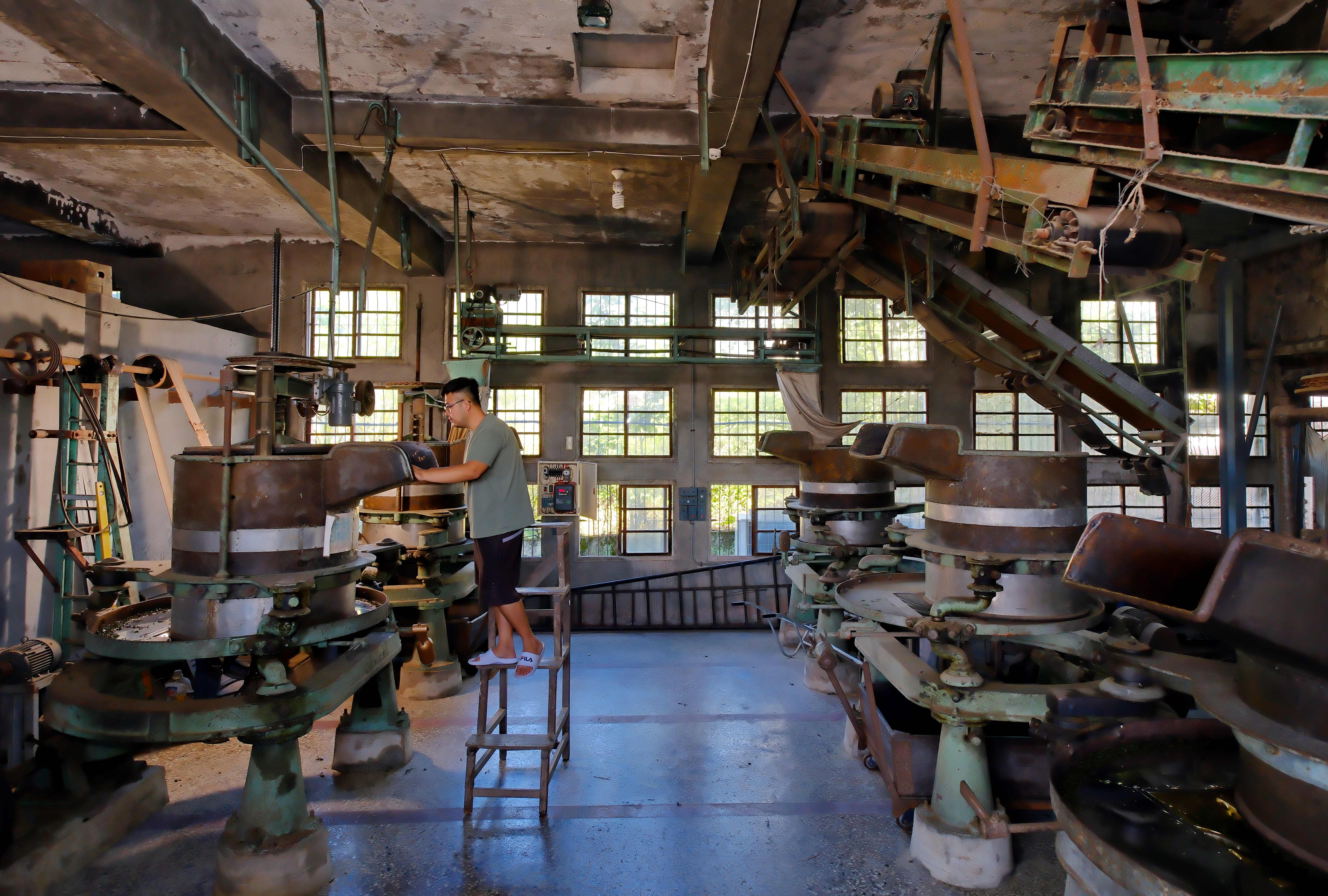 身為台東最老的製茶廠，仍保有舊式大型揉捻機，製茶場域充滿著濃濃古早氛圍。