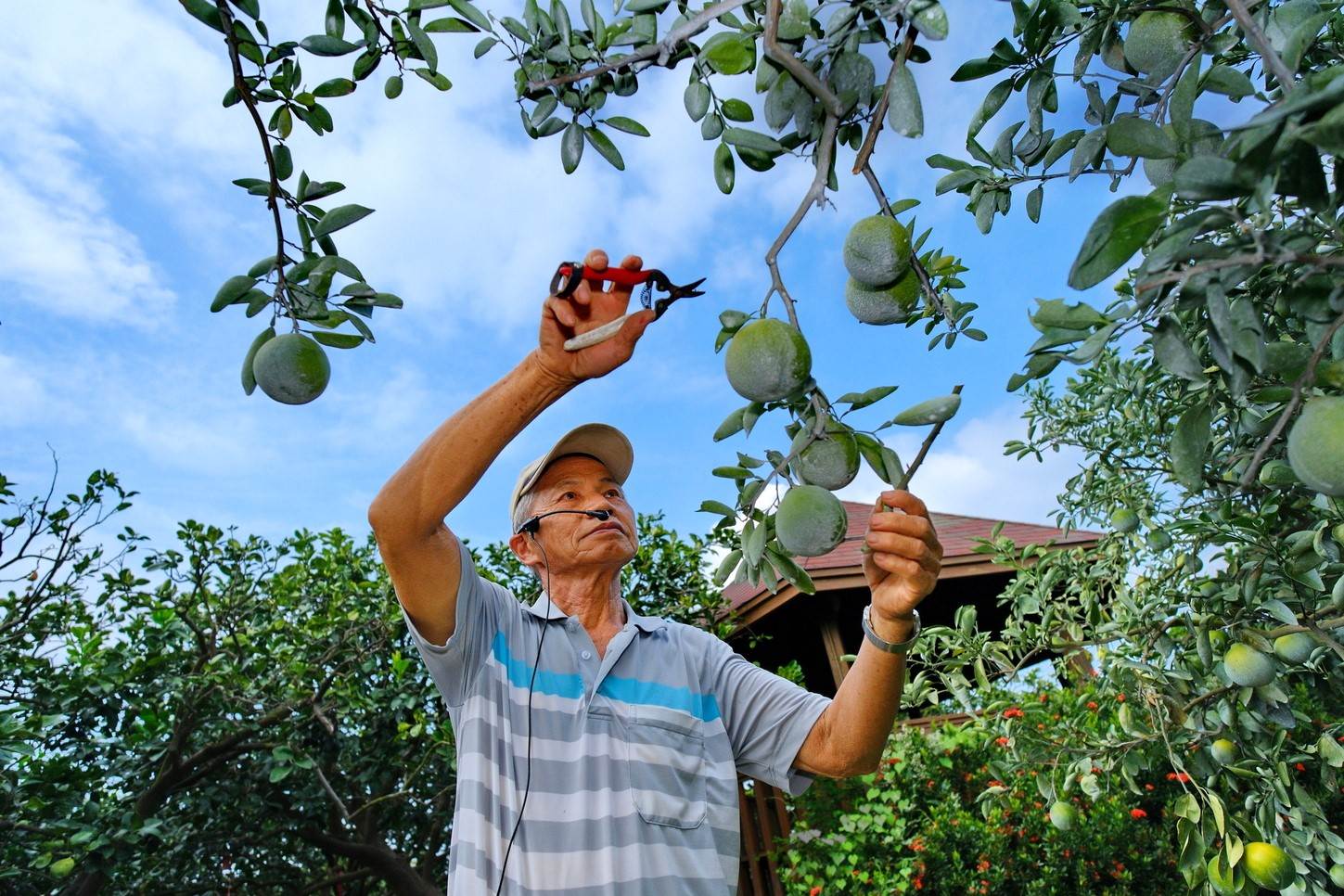 曾取得生態解說員認證及傑出農民「神農獎」的農場主人陳萬生，導覽生態，隨手拈來都是豐富的經驗傳承。