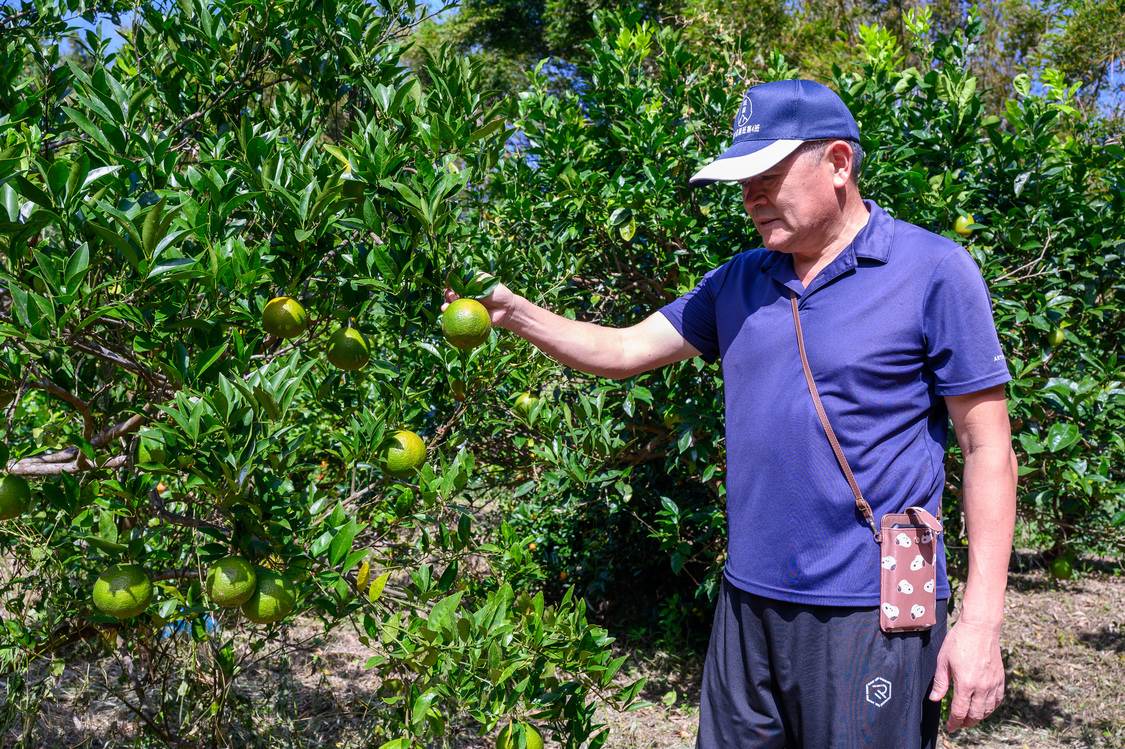「好景莊」的創辦人張為欽退休後回到故鄉的土地上，跟兒子一起打造這片荒廢的祖產。