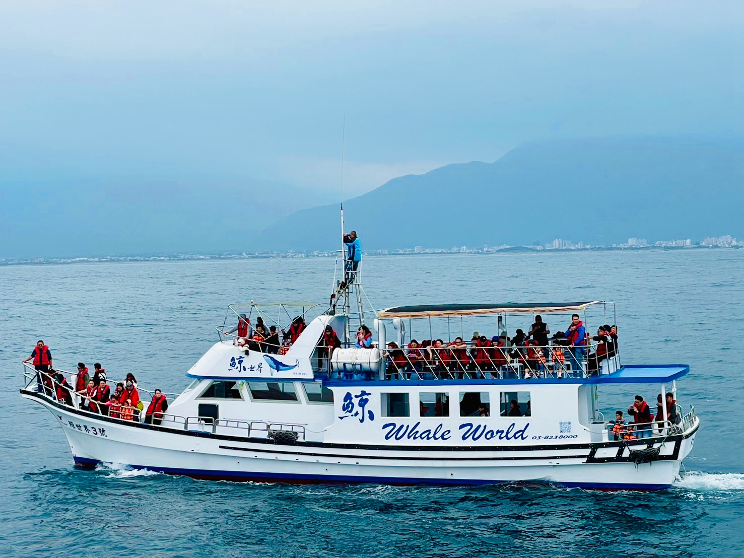 滿載遊客的賞鯨船，船上配有專業船長、瞭望員、解說員隨船進行海上導覽。(鯨世界提供)