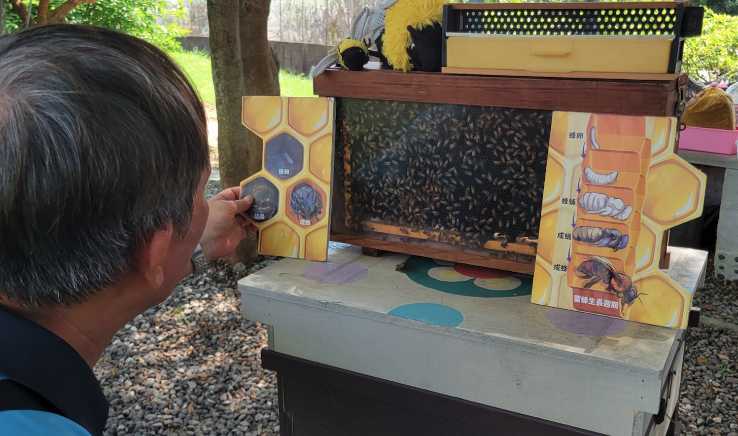 蜂的生態解說