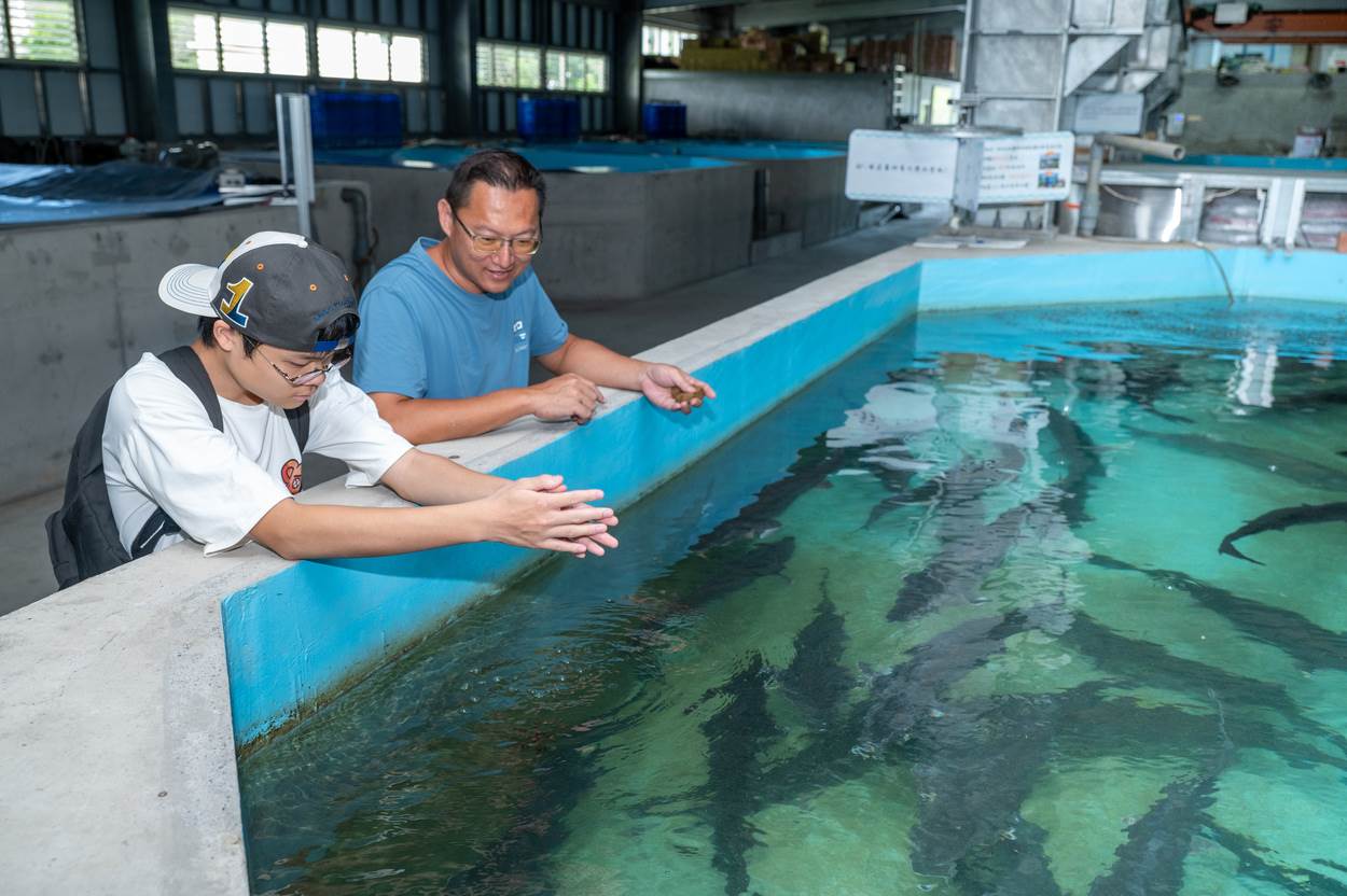 遊客體驗餵食鱘龍魚。