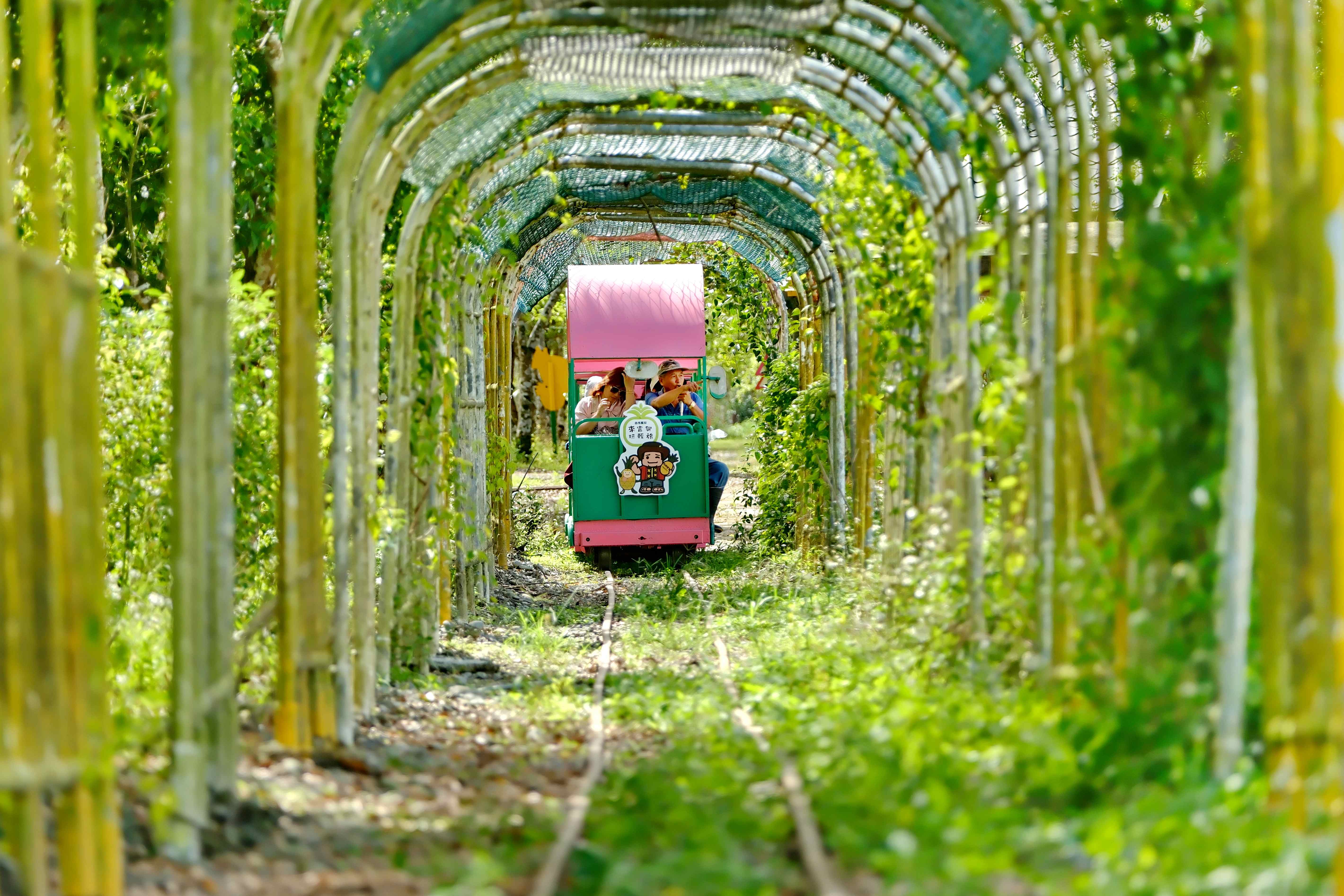經過綠色隧道的1314 幸福小火車，好似宮崎駿動畫裡的場景。
