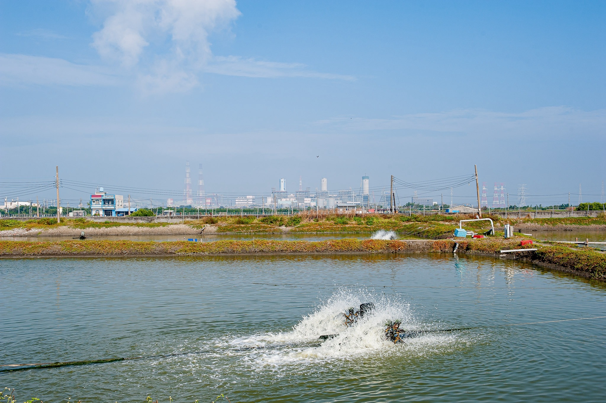 蘇班長安心漁場魚塭