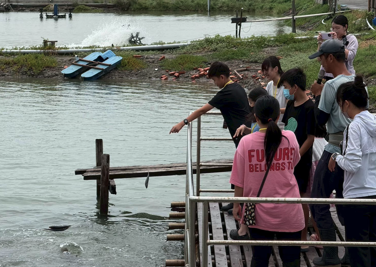 餵石斑體驗讓大人小孩都玩得不亦樂乎