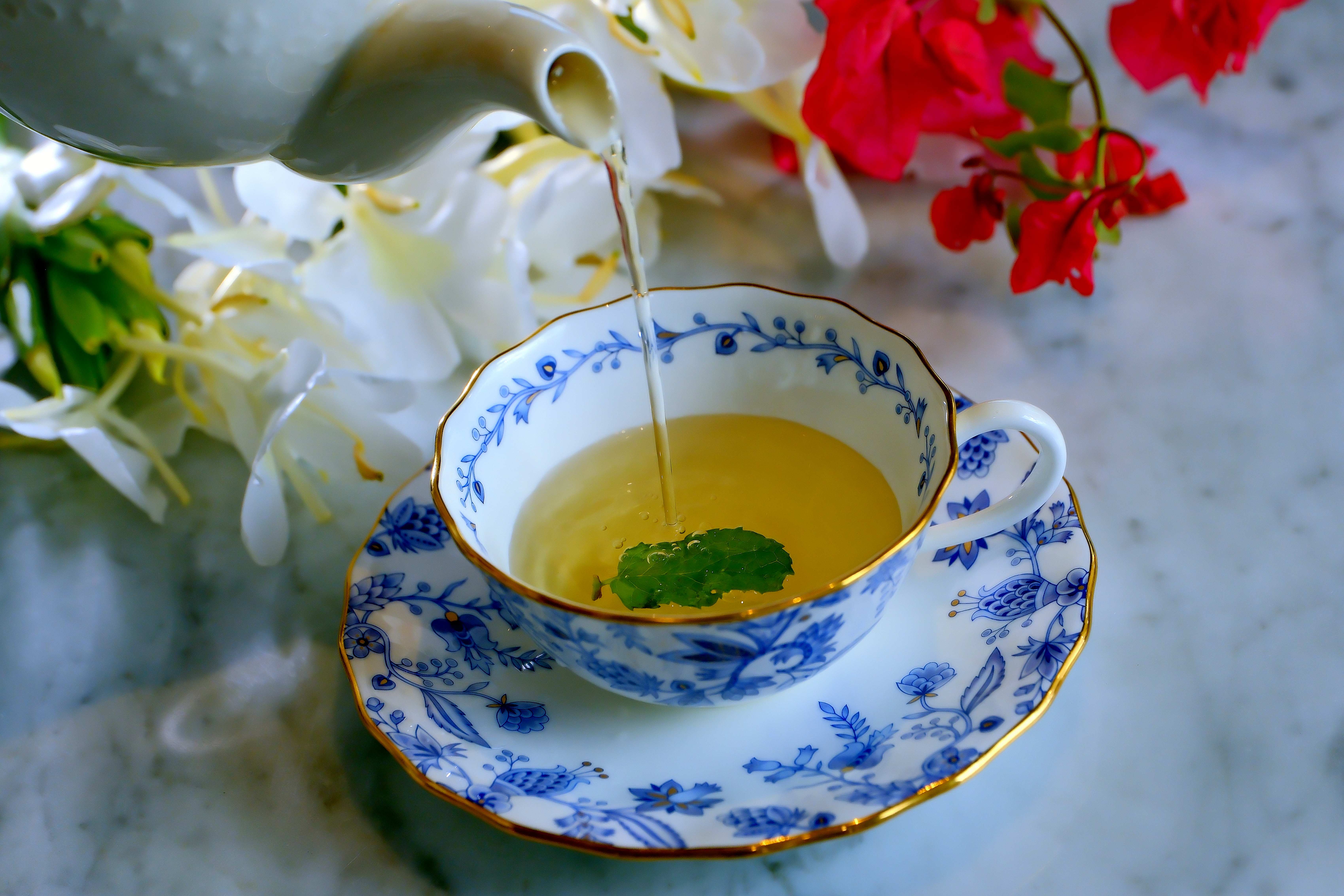 新鮮現採調製的迎賓香草茶。