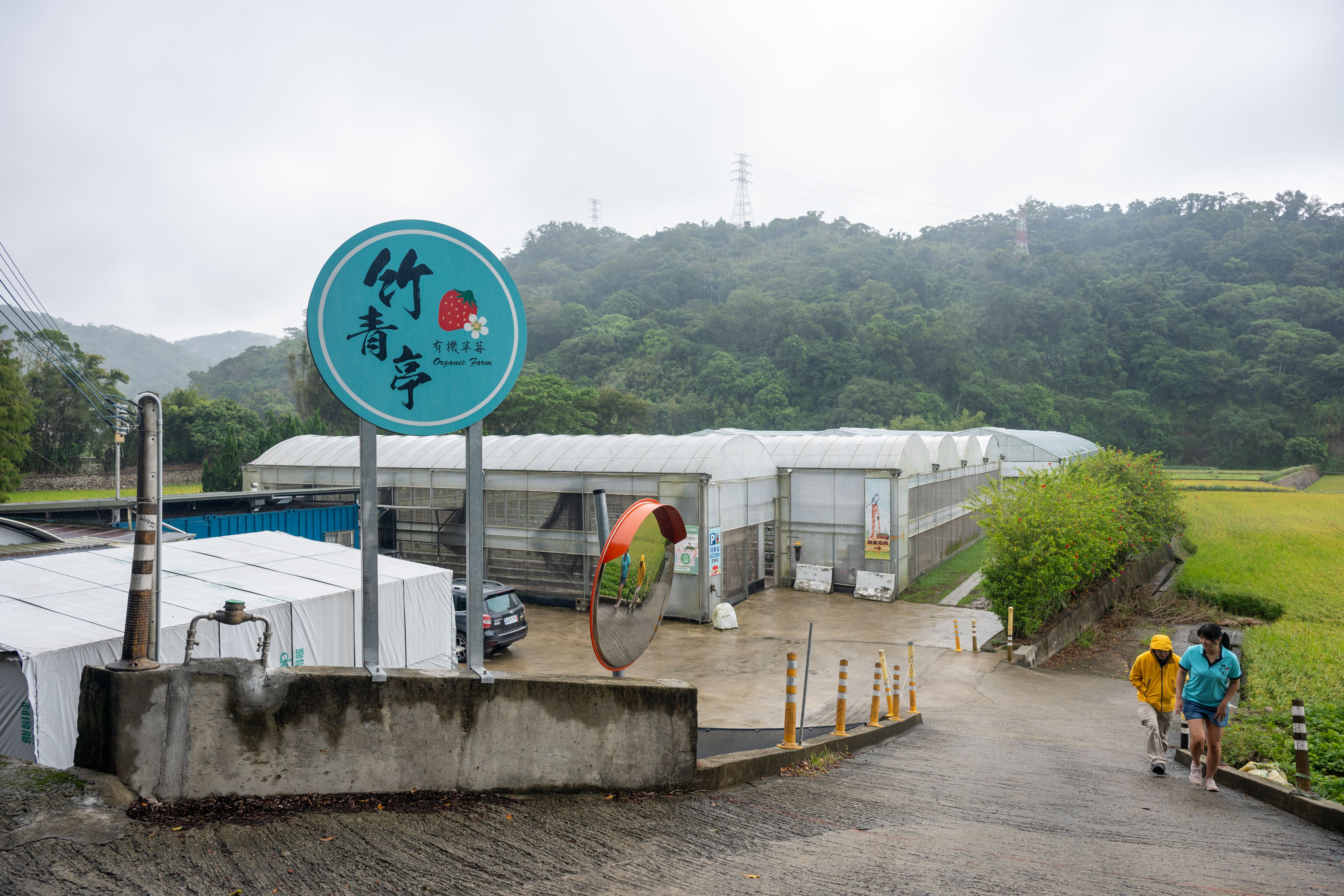 「竹青亭」位在縣道旁的岔路進來，入口標示明顯。