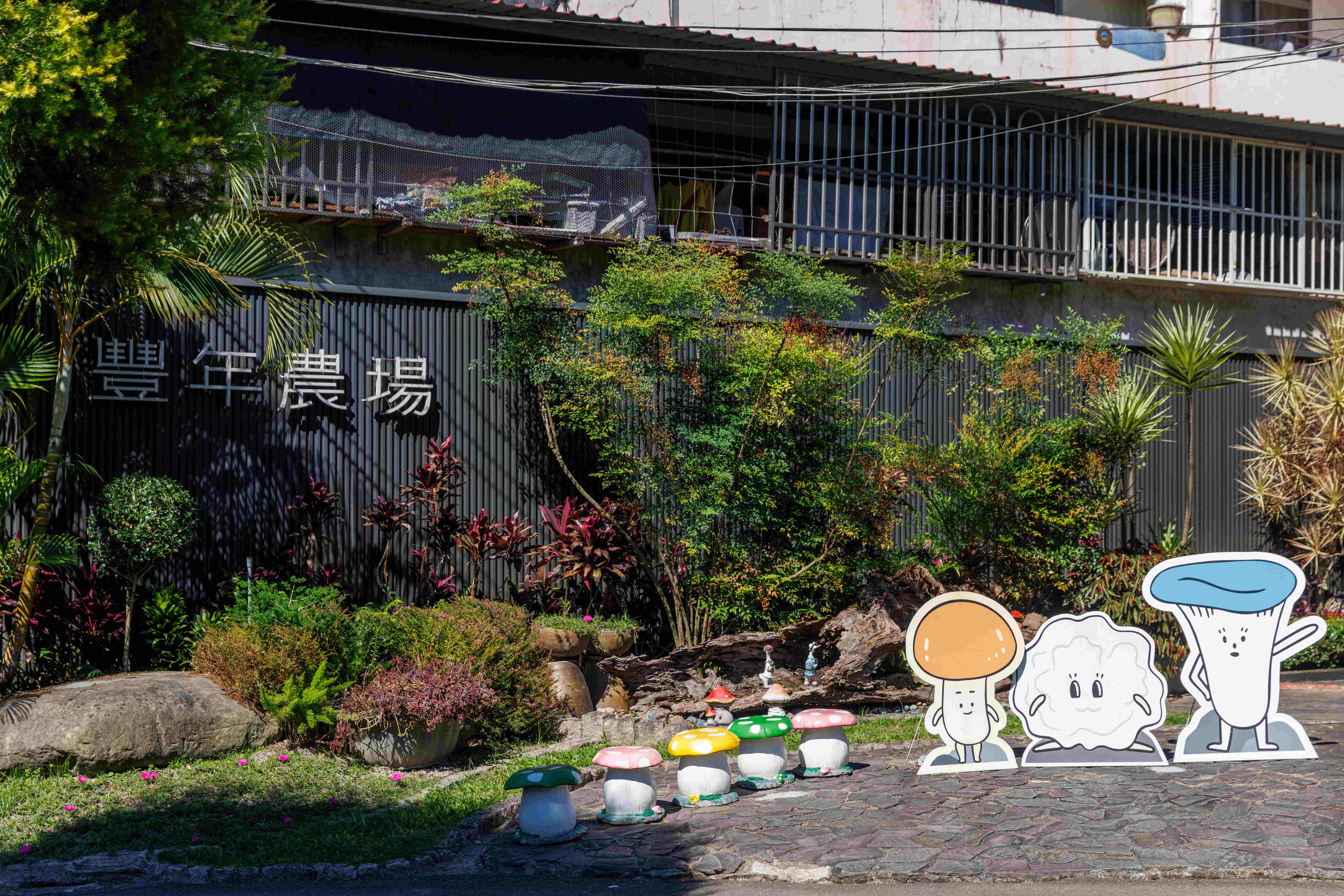 「豐年」早期專注於食用菌的栽培和販售，於2002年以「豐年農場」轉型再出發。