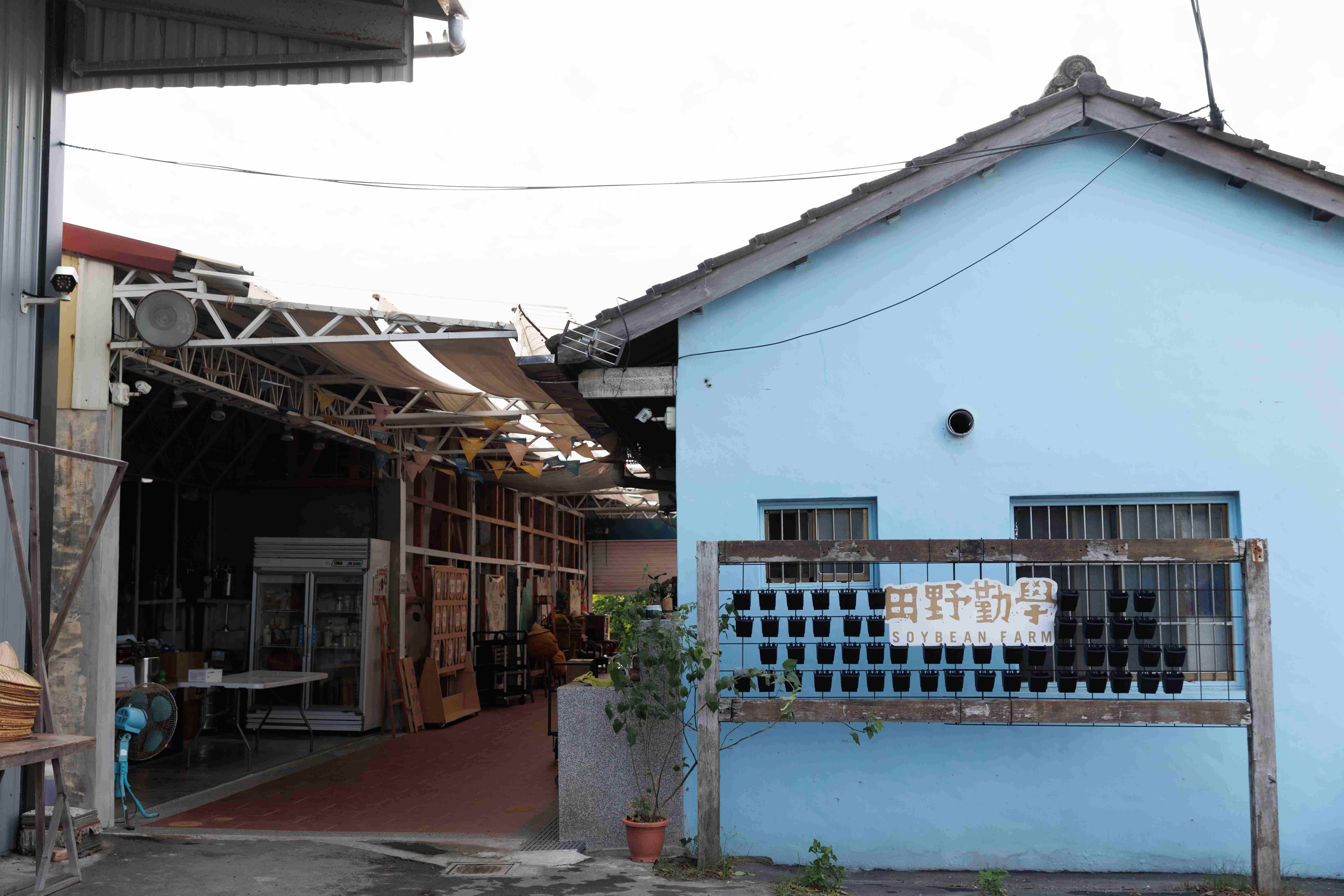 田野勤學的創辦人陳光鏡以彰化的一座三合院，作為他復興臺灣黃豆的基地。