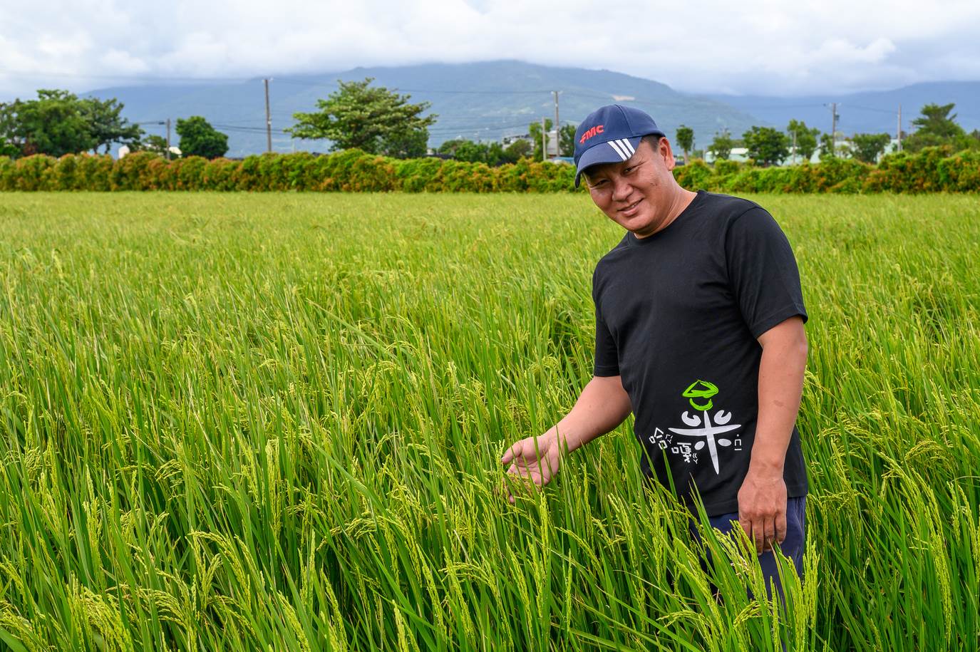 跟著吳聲昌下田，了解「米」的相關知識。