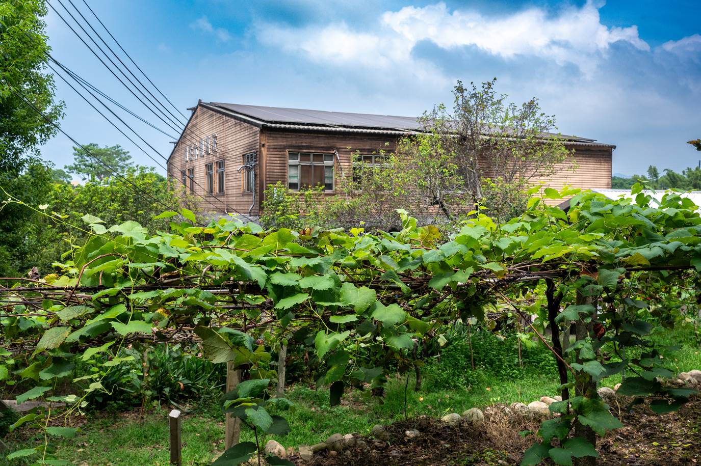 水流東休閒農業區遊客服務中心位在樹生休閒酒莊裡面。