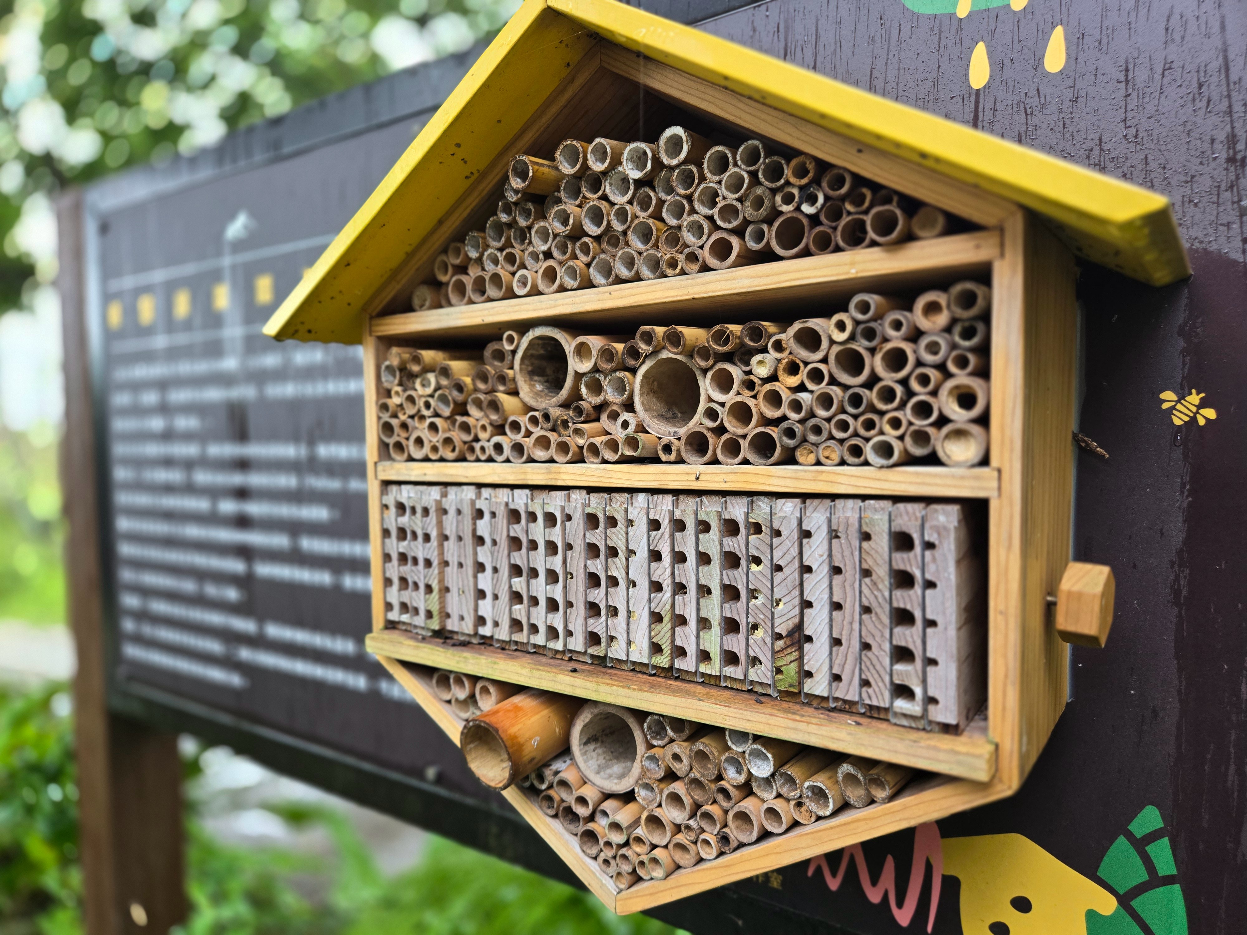 二崎農場設置獨居蜂旅館，可以就近觀察獨居蜂生態