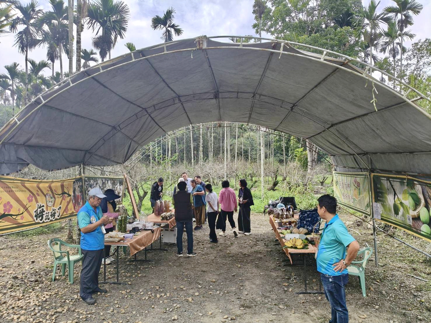 合作場域之一「甜蜜梅園」賞梅及梅妝釀DIY活動。(高雄市竹林休閒農業發展協會提供)