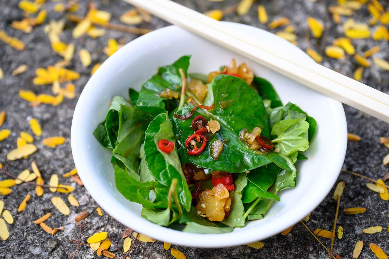 剛剛摘下的魚腥草，加一點醬油辣椒蒜頭，就是一道下飯的生菜料理。