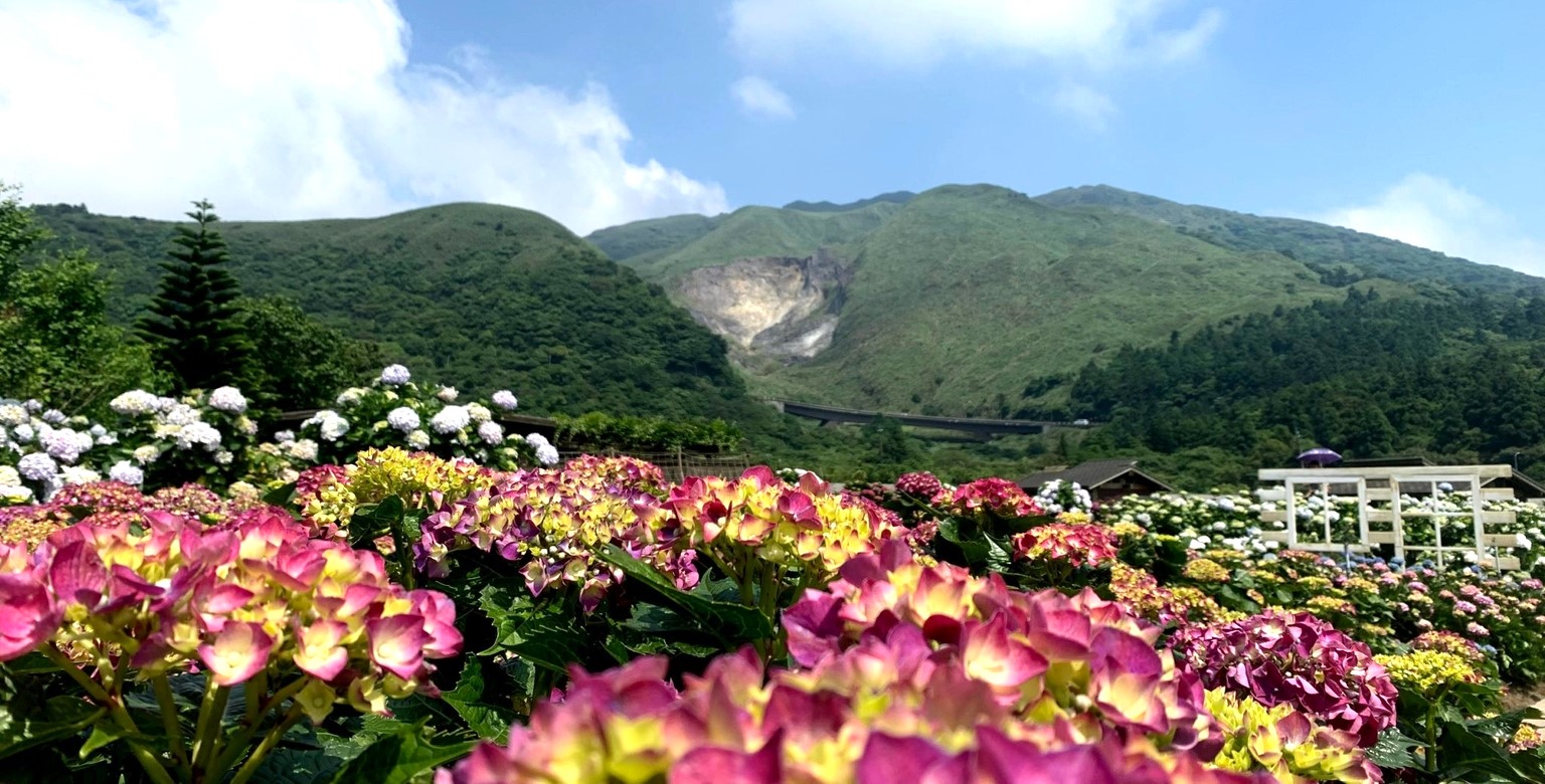 花谷─花團錦簇的大自然，讓人不由心生讚嘆。