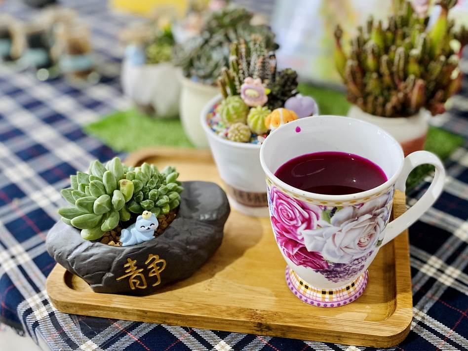 來杯仙人掌汁，靜心觀察多肉，解憂又舒壓。