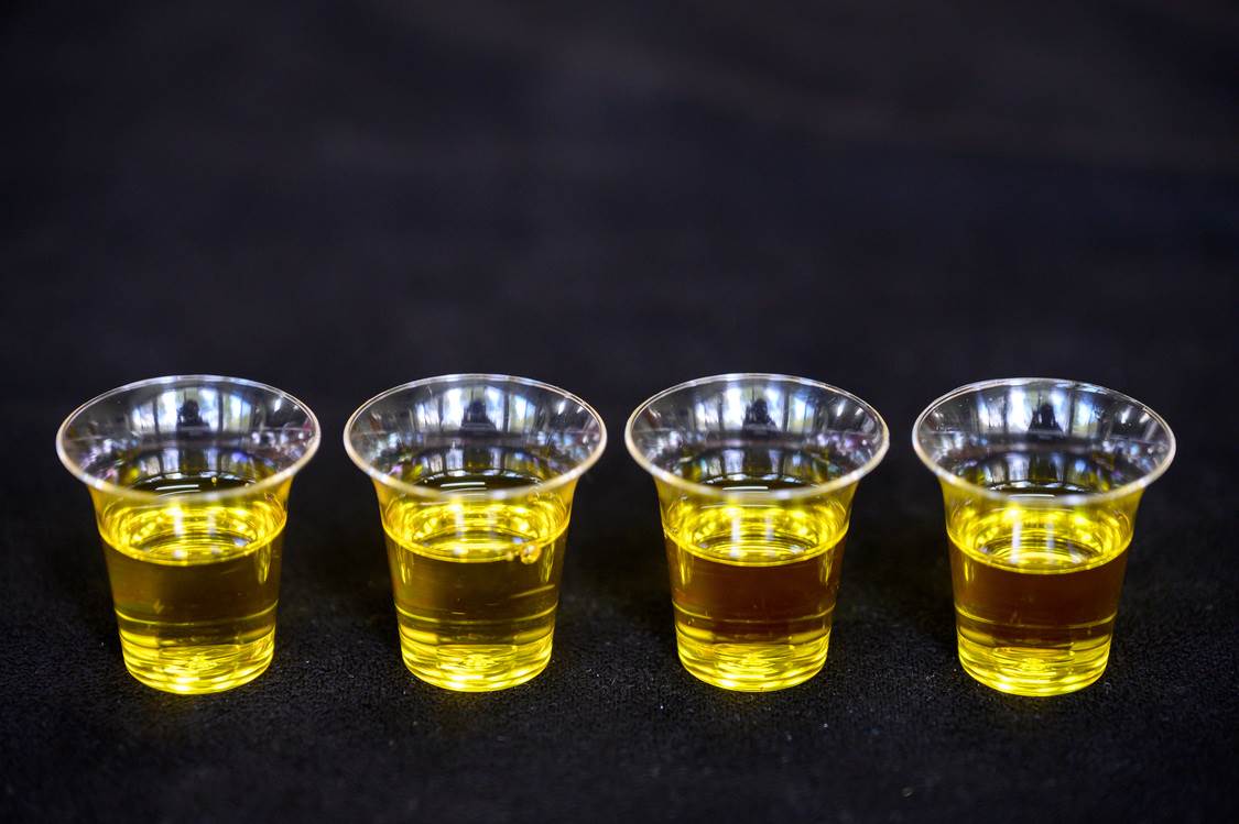 在「好景莊」品苦茶油，很容易就能分辨品質好壞，這是最珍貴的食農教育。