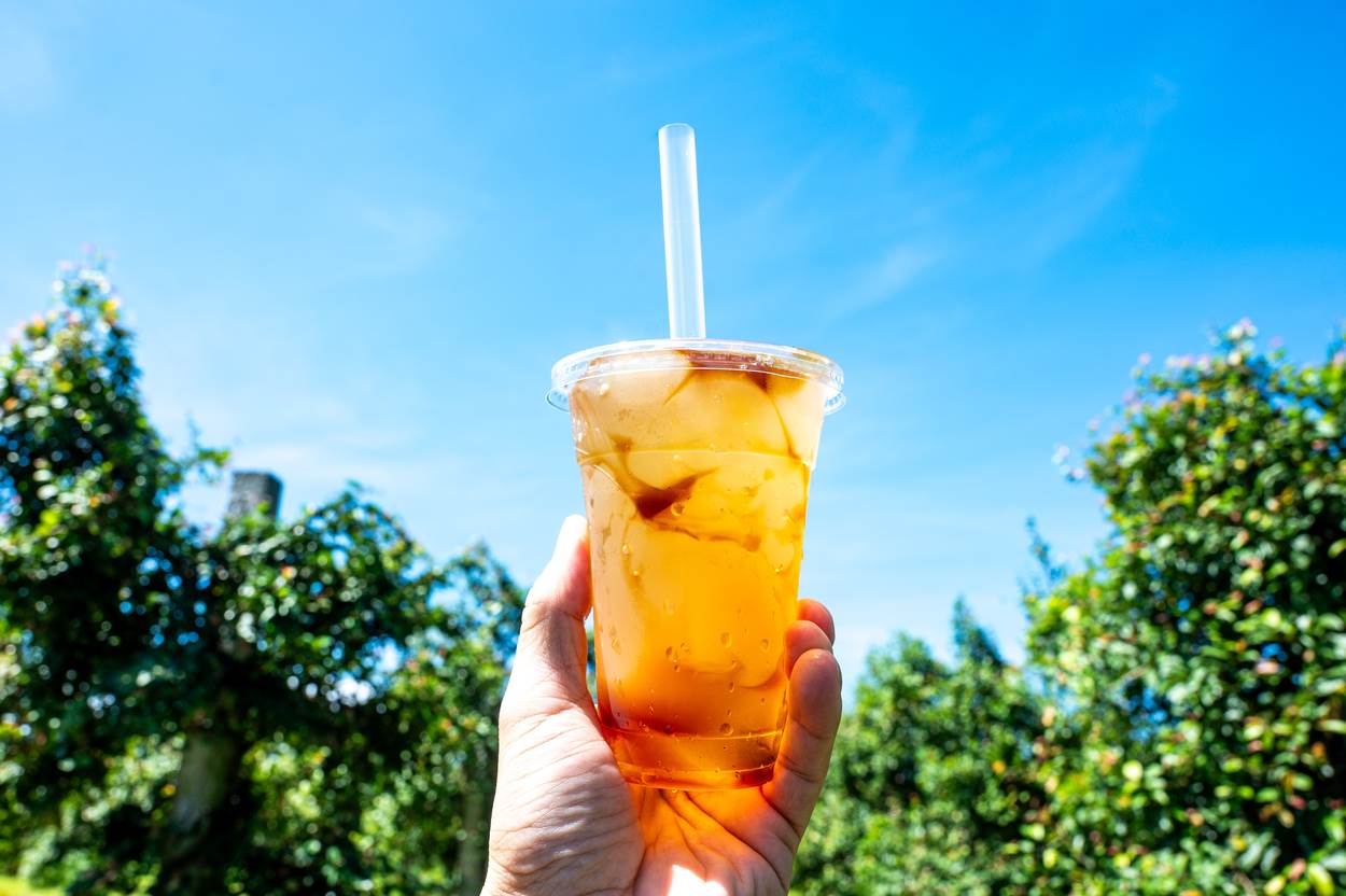 紅九愛玉是台灣原生的單一品種愛玉，口感Ｑ彈，富含膠質。