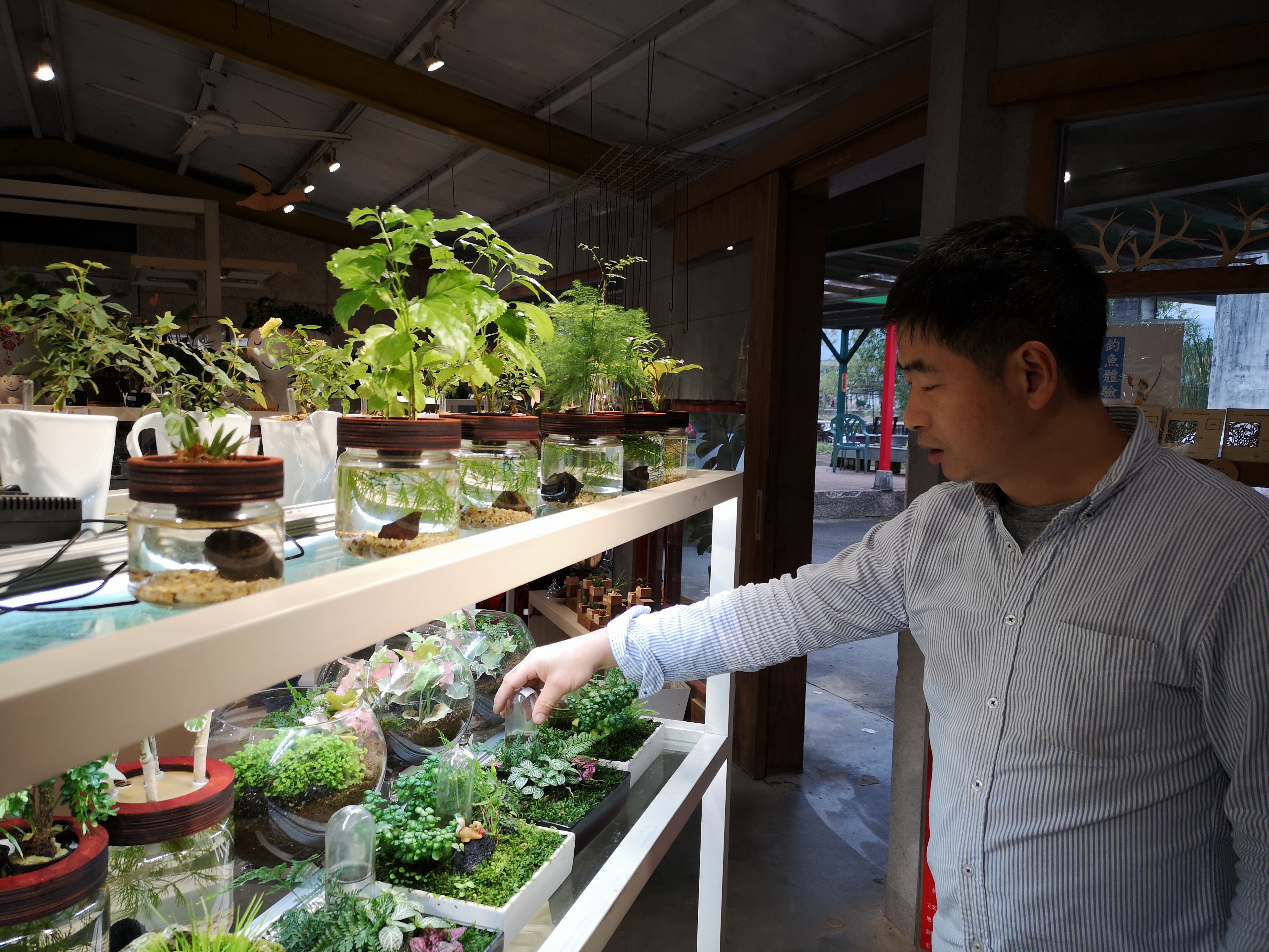 徐輝雄成功培育葛仙米藻，蒸煮炒做成甜品都很適合。