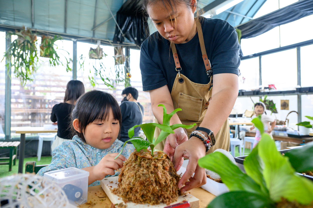 遊客來此可以DIY鹿角苔與山蘇