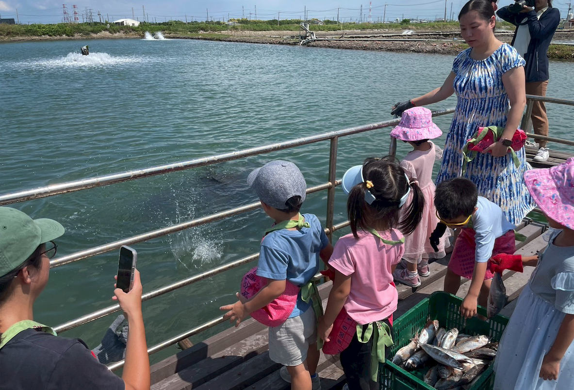 餵魚體驗