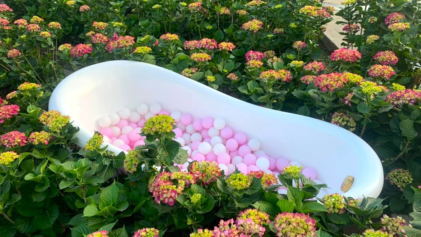 園區許多網美打卡點，花谷花田裡的浴缸。