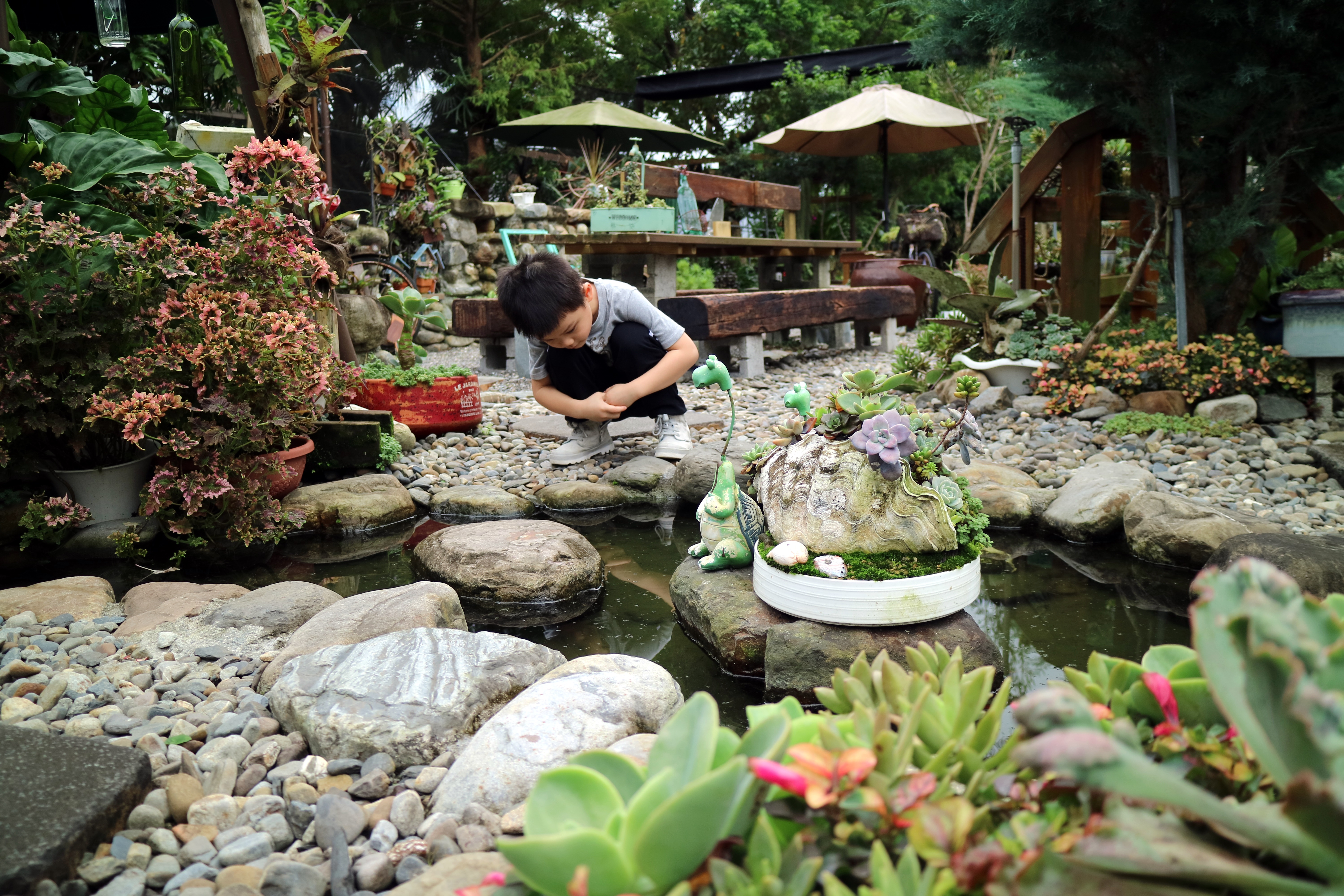 用五顏六色植物妝點造景小河流。