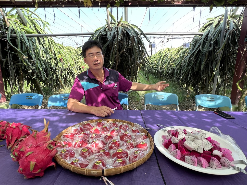 果園主人謝新科以草生栽培管理果園。
