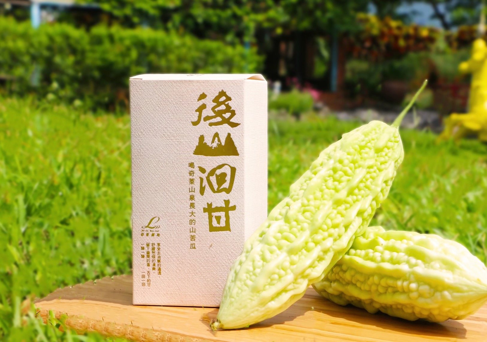 苦瓜花蓮2號是奇萊美地積極加工的特色作物,「後山洄甘」苦瓜茶帶有特殊的回甘滋味。