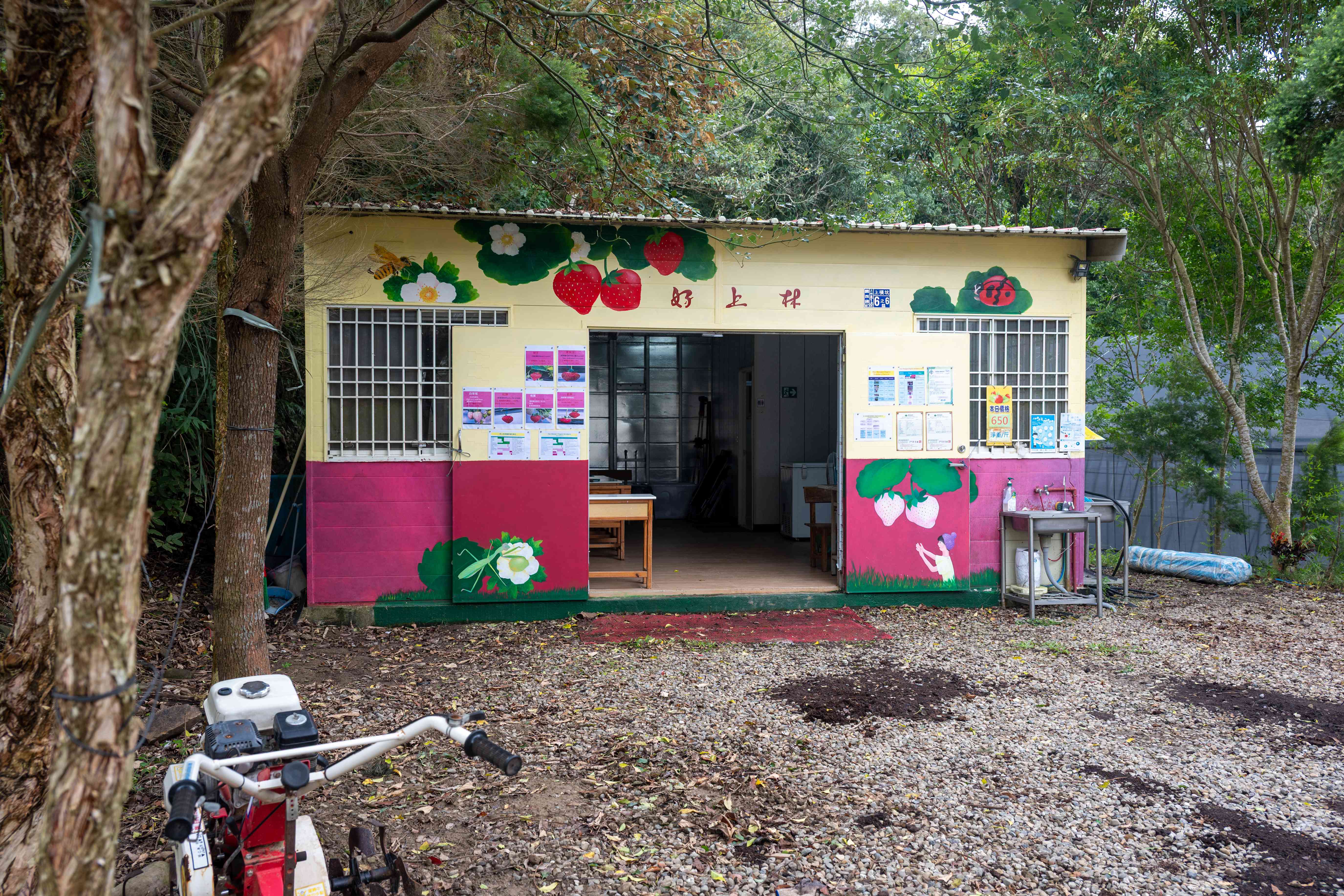 園主詹錫銘退休後憑著興趣與熱忱一人經營起整個「上好林」，小巧的活動區五臟俱全。