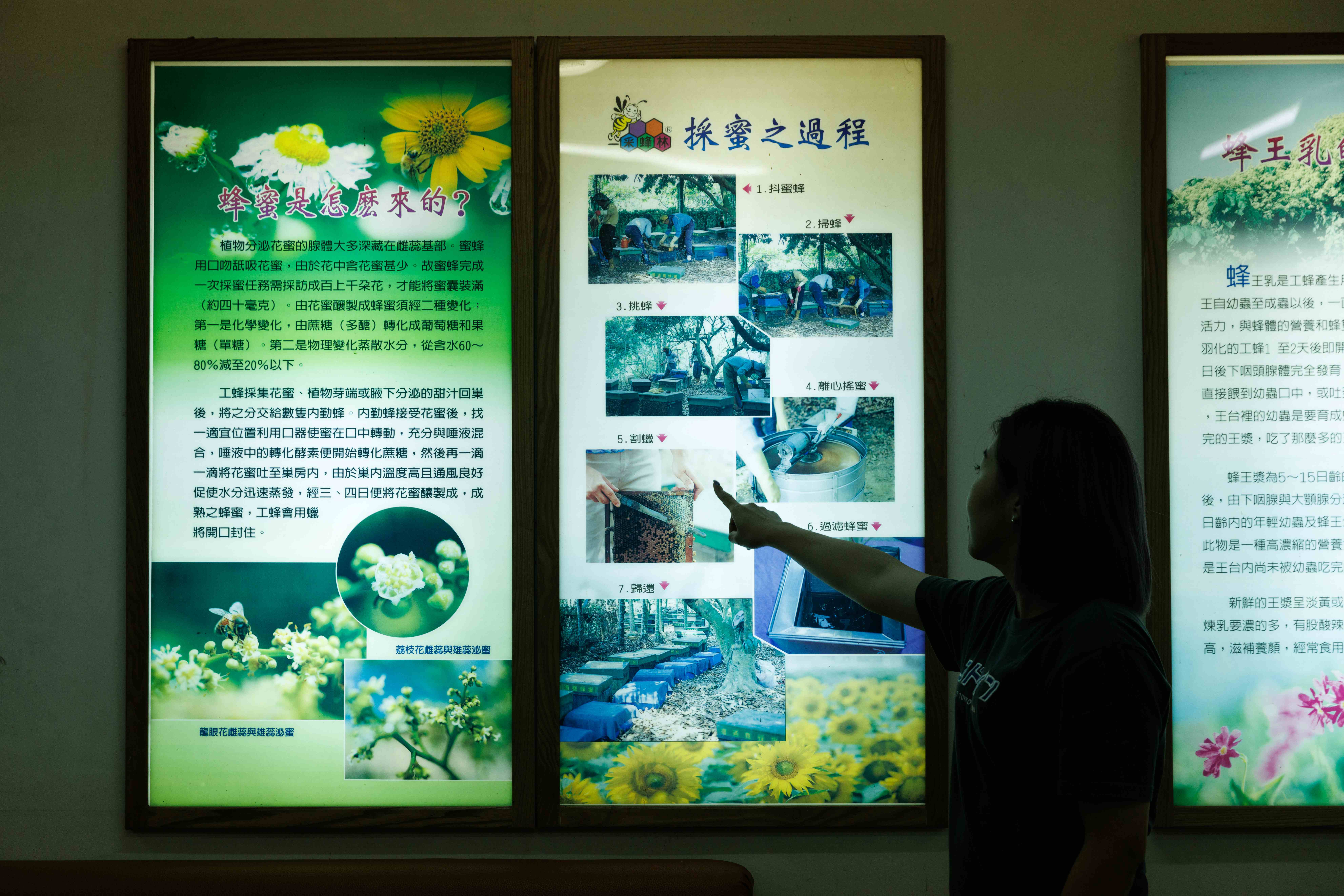 園區導覽規劃完整，一次就能認識關於蜜蜂的大小事。