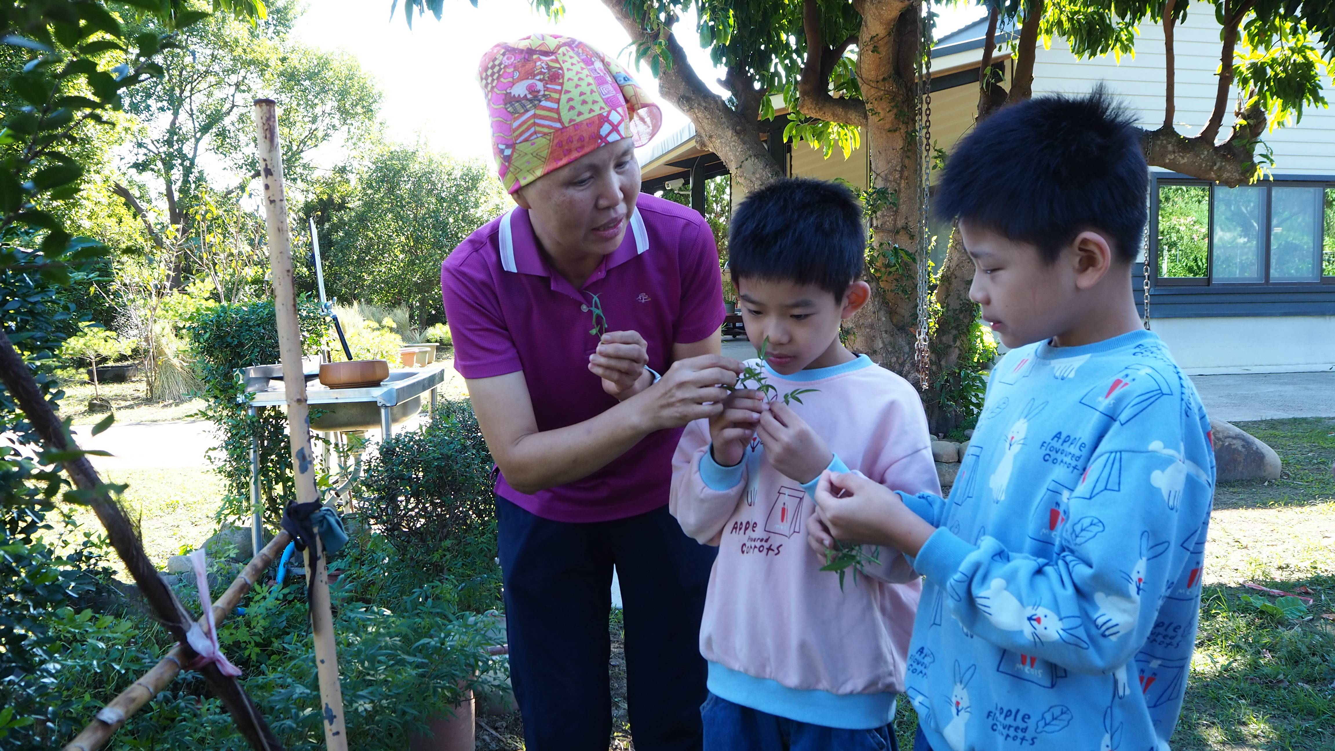 農場的導覽圍繞著五感探索，觀察、觸摸、聞香等認識不同香草植物。
