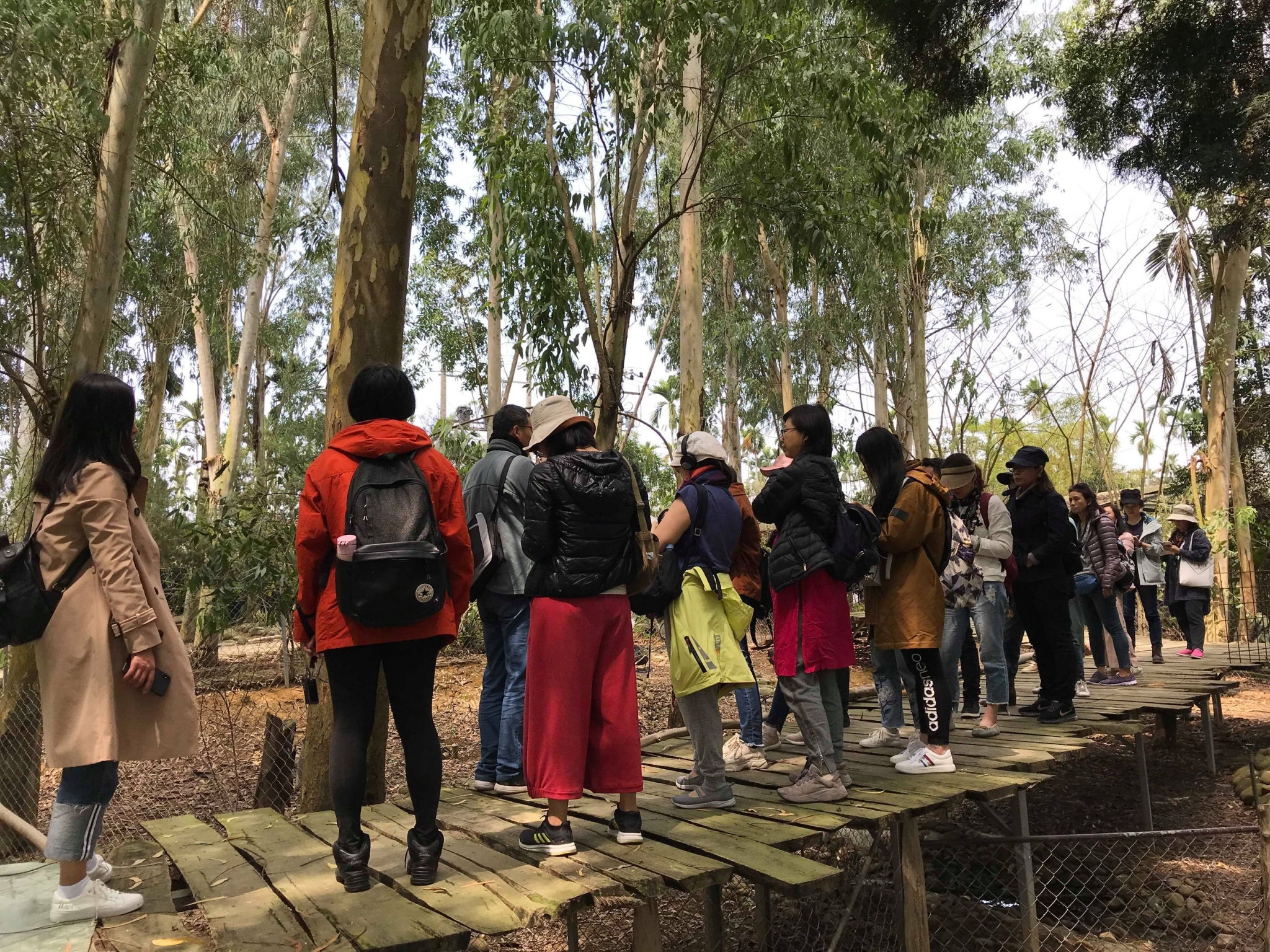 場域內種植尤加利樹,空氣中彌漫著尤加利香氣