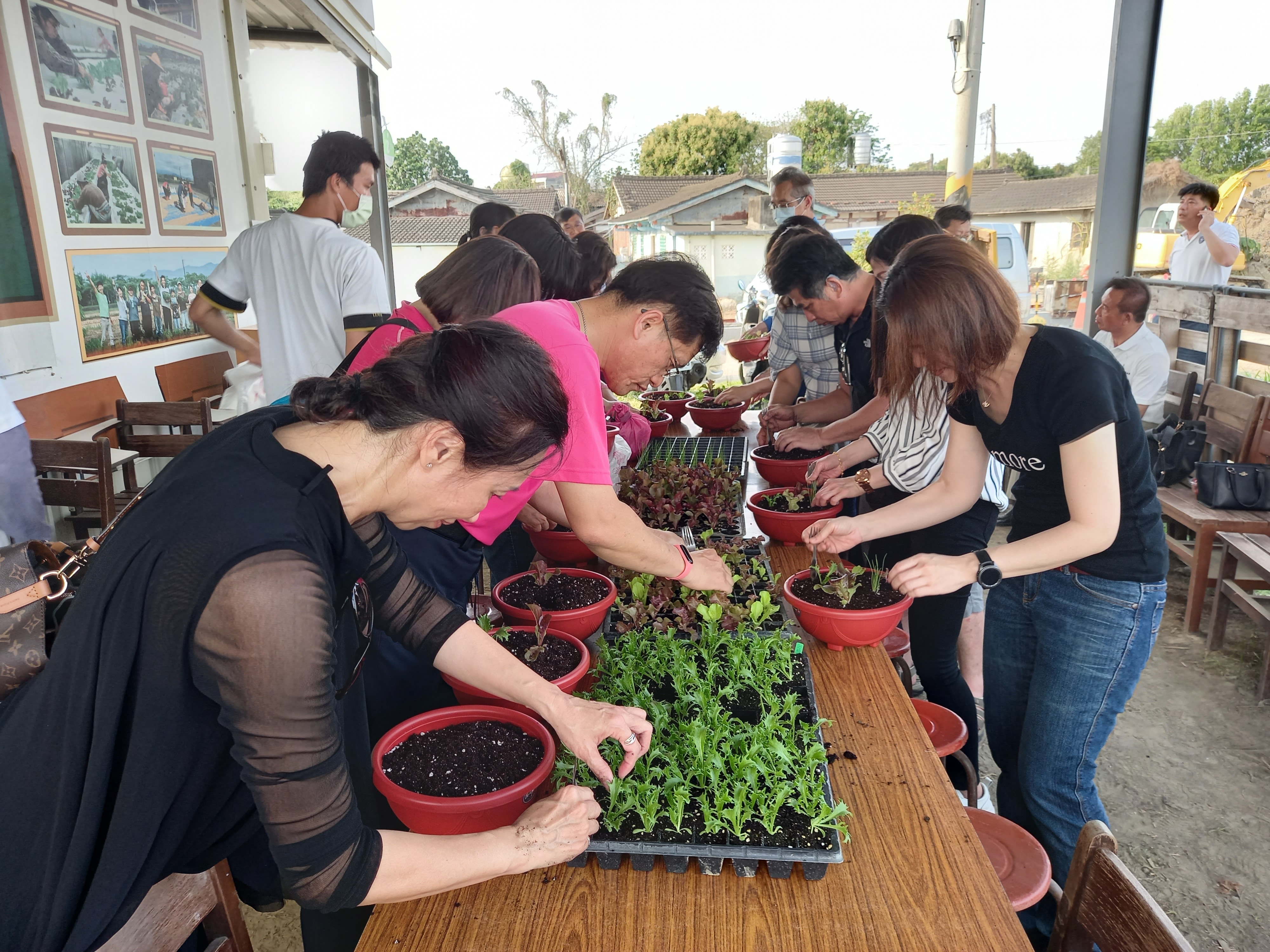 現在蓮心園在白河木棉花季及平日會開放民眾體驗種菜、採菜樂趣。